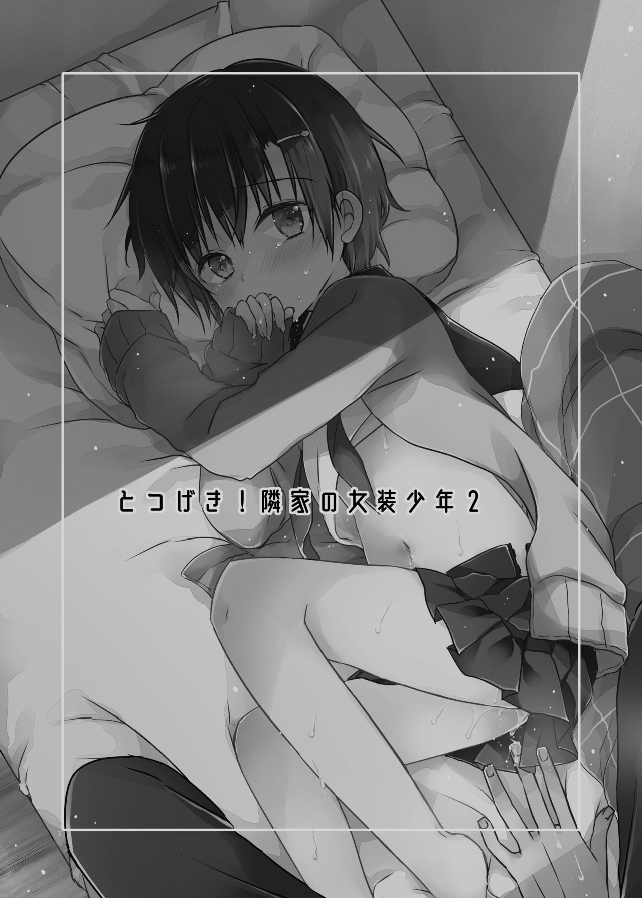 Totsugeki! Rinka no Josou Shounen 2 page 3 full