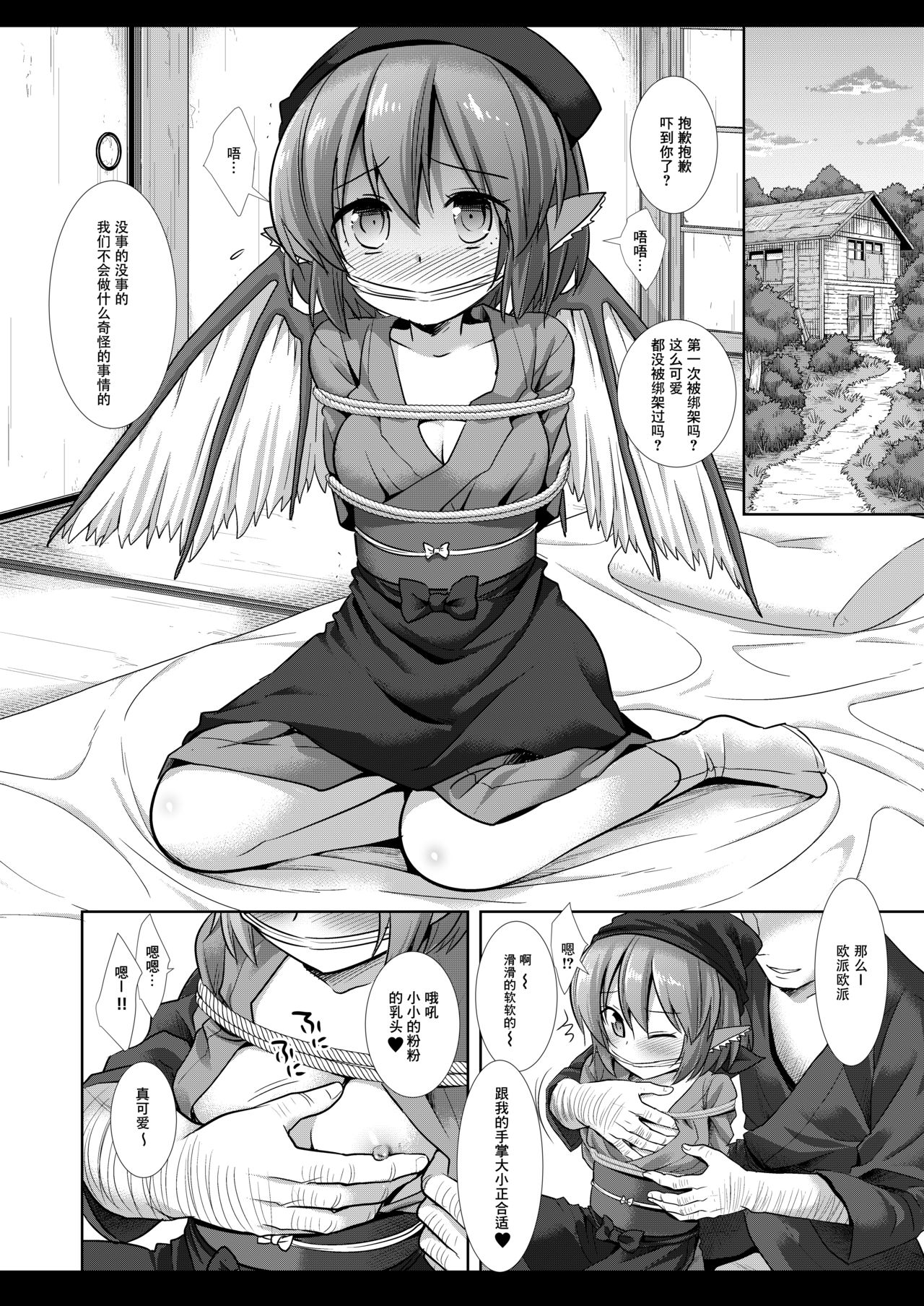 Touhou Ryoujoku 44 Mystia Lorelei page 5 full