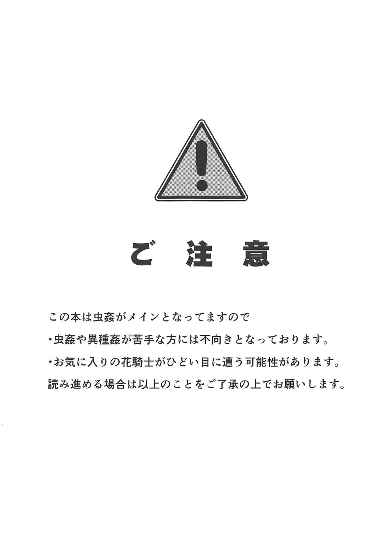 Gaichuu Higai Houkokusho File 3 page 3 full