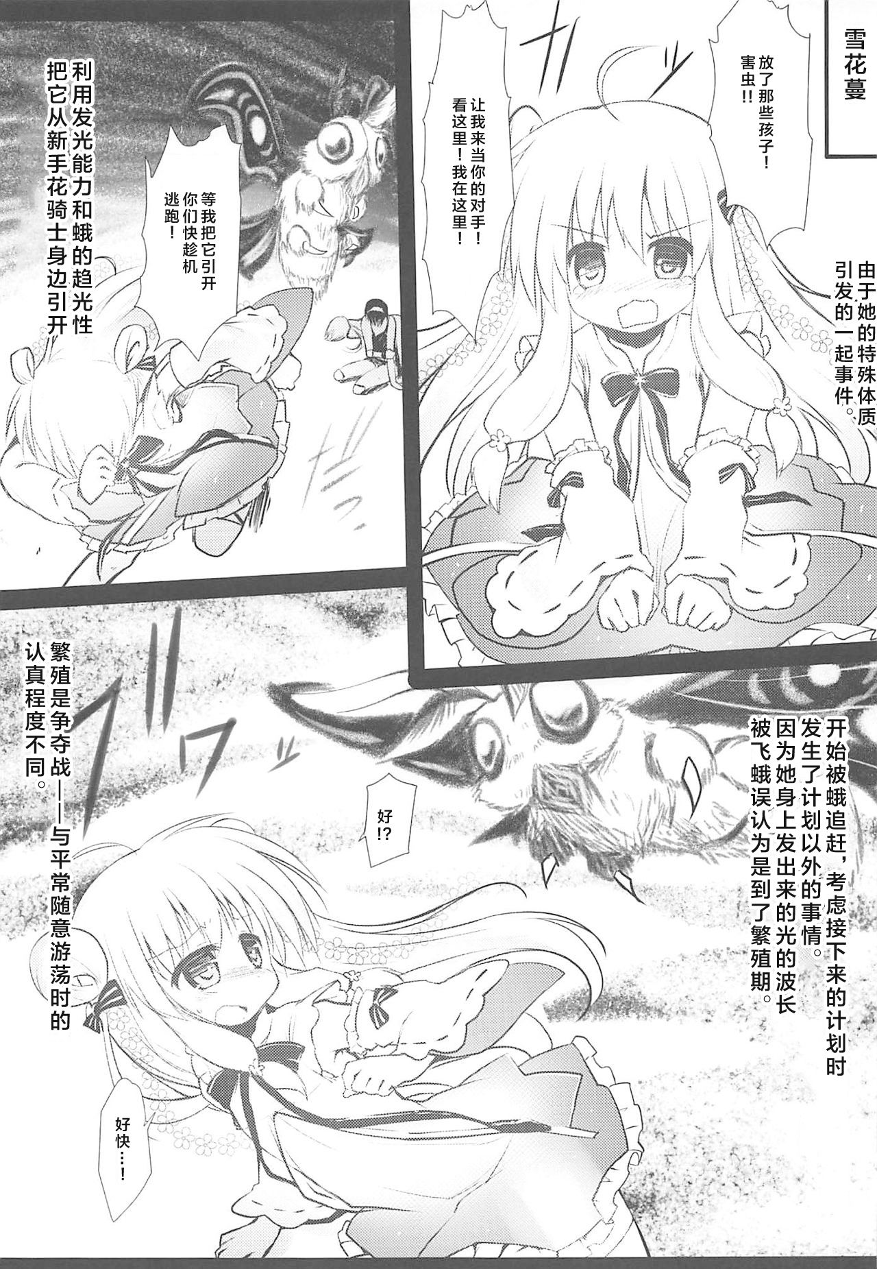 Gaichuu Higai Houkokusho File 3 page 5 full