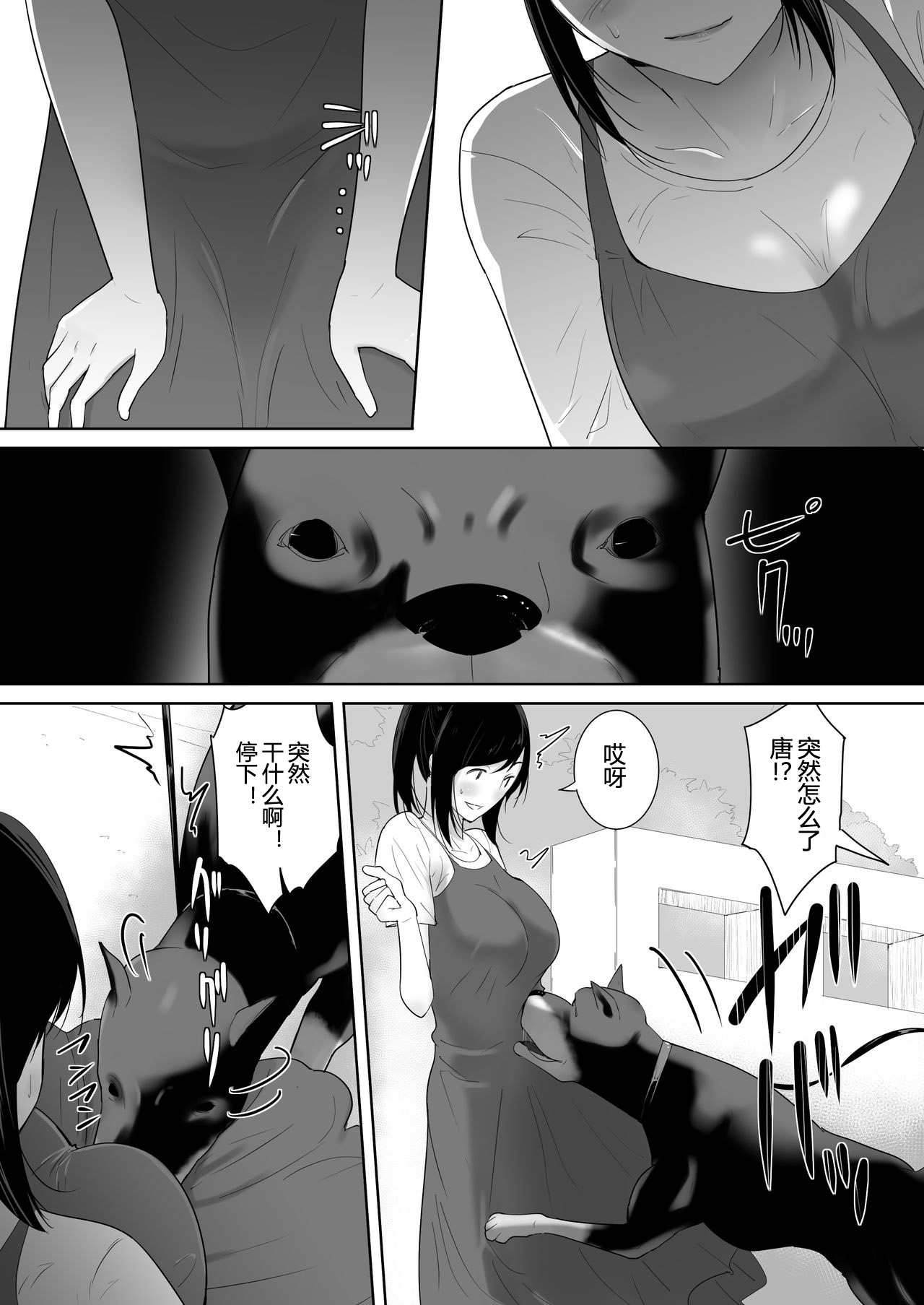 Wagaya ni Inu ga Yattekita 2 page 4 full
