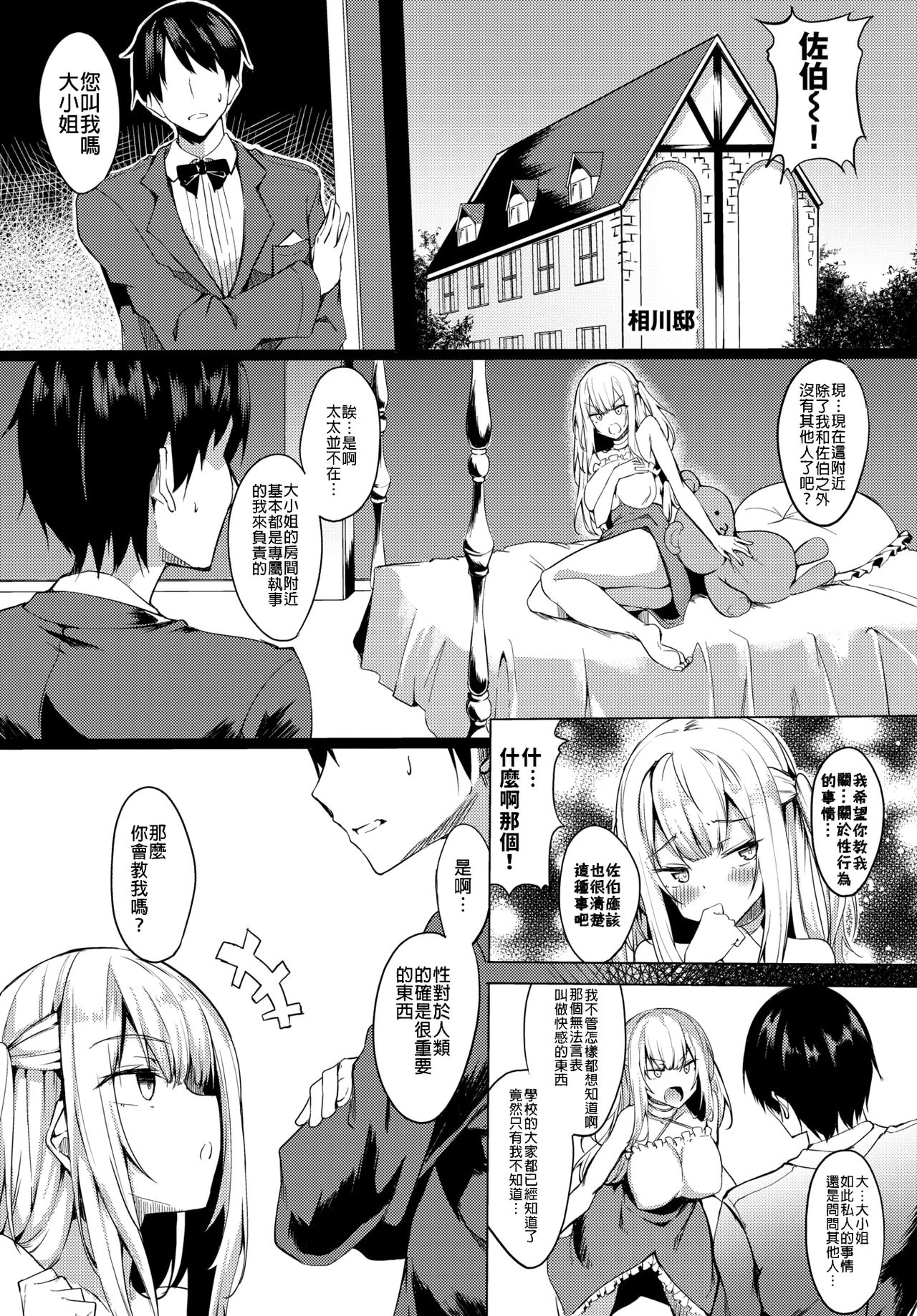 Ojou-sama mo Ecchi ga Shitai page 3 full