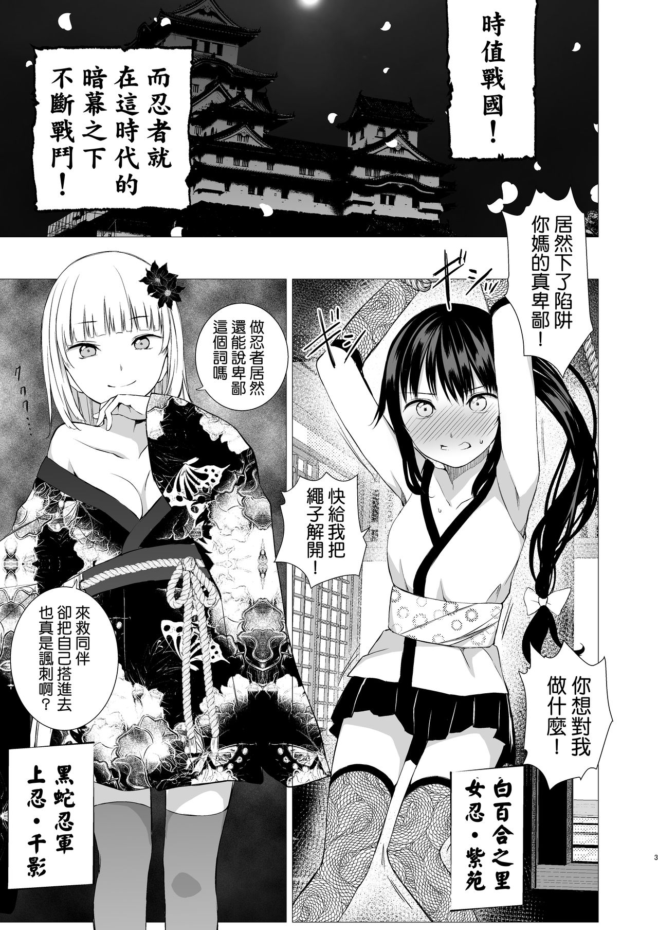 Oshinobi Shoujo no Asobikata page 3 full