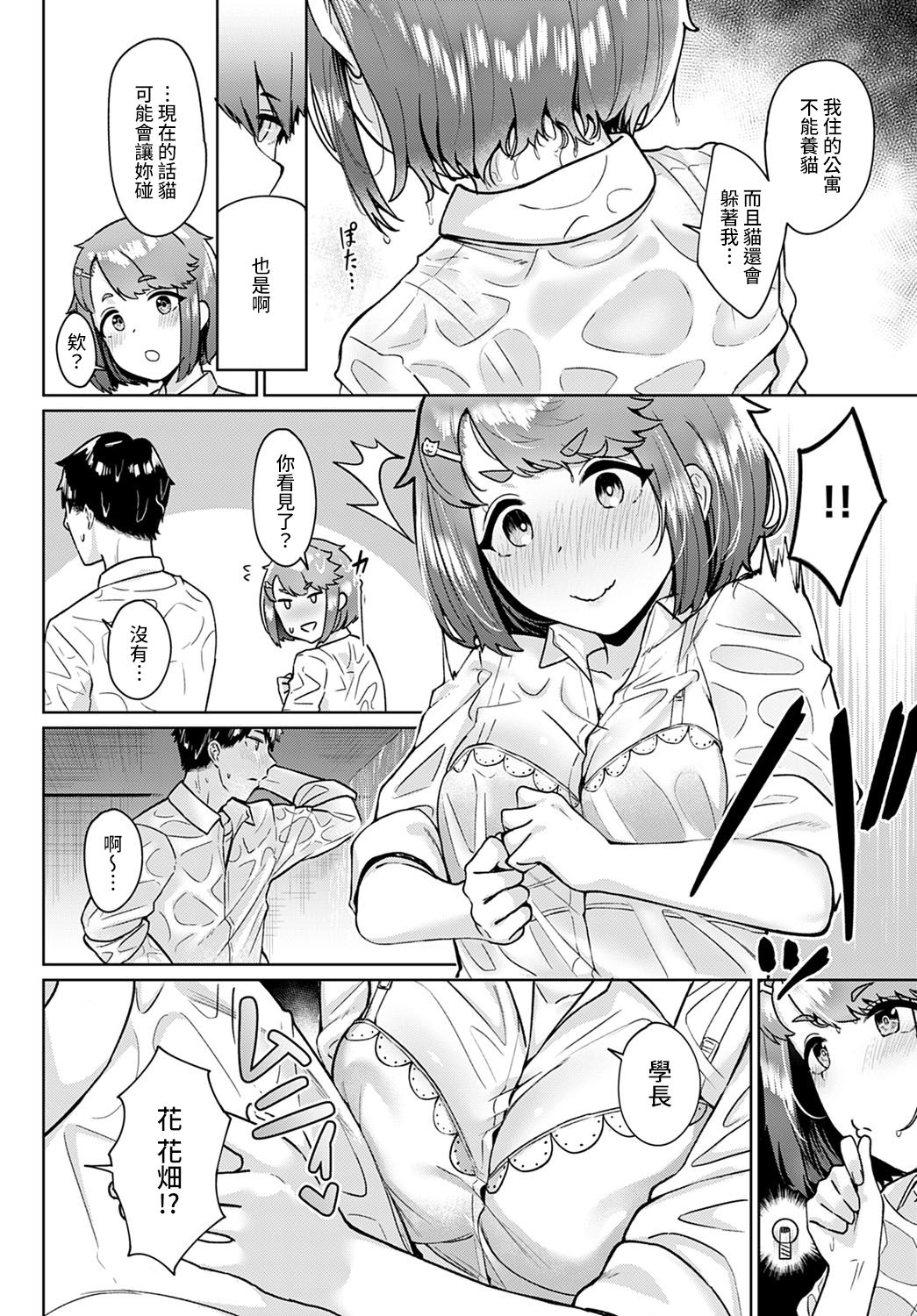 Neko nochi Amayadori page 6 full