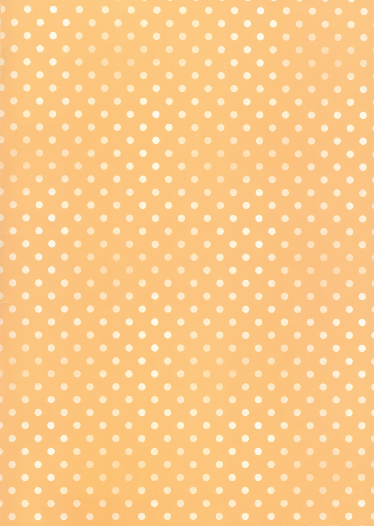 Imoto to hajimemashita page 3 full