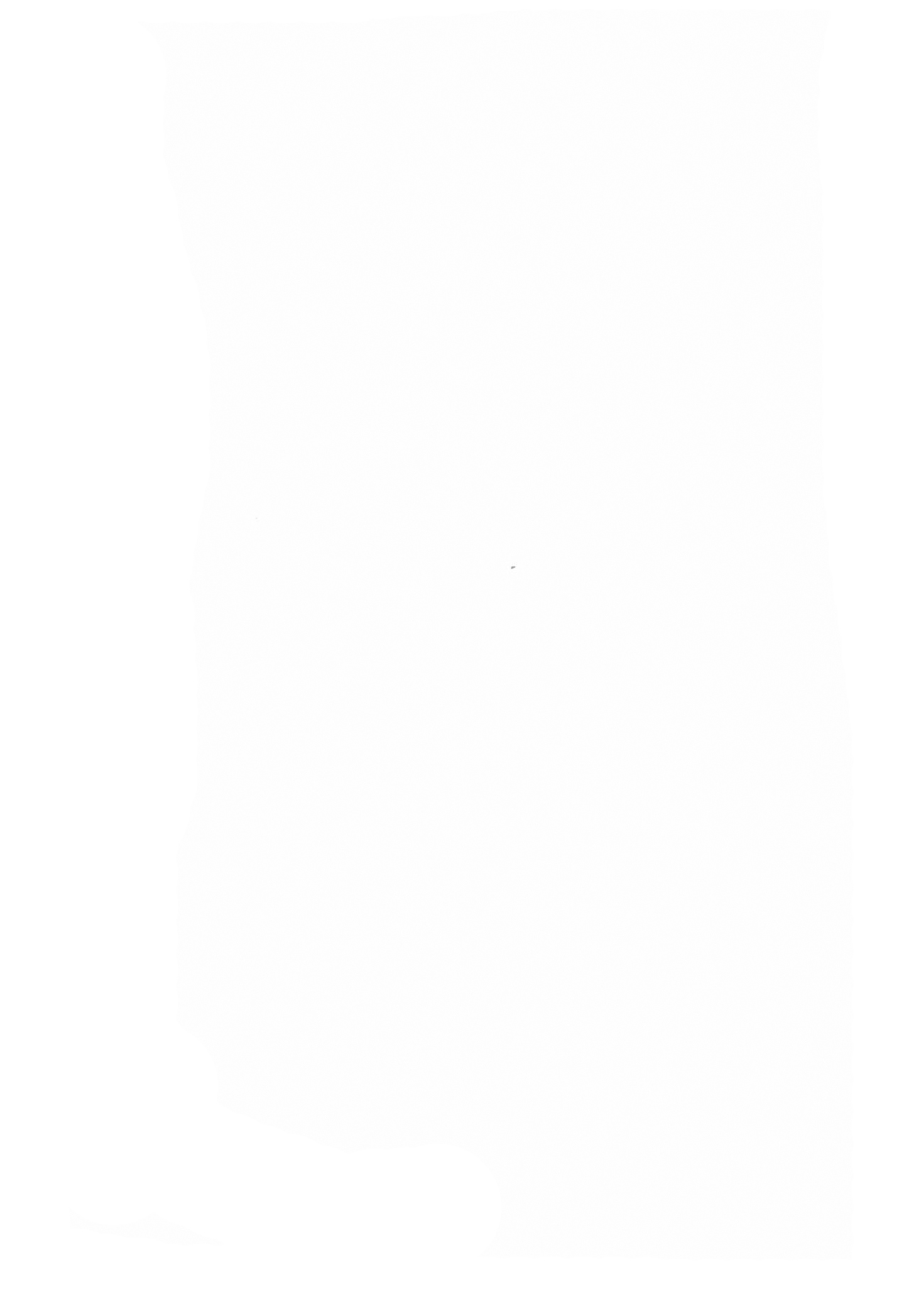 Bokura no Nazrin wa Bukiyou Kawaii! page 3 full