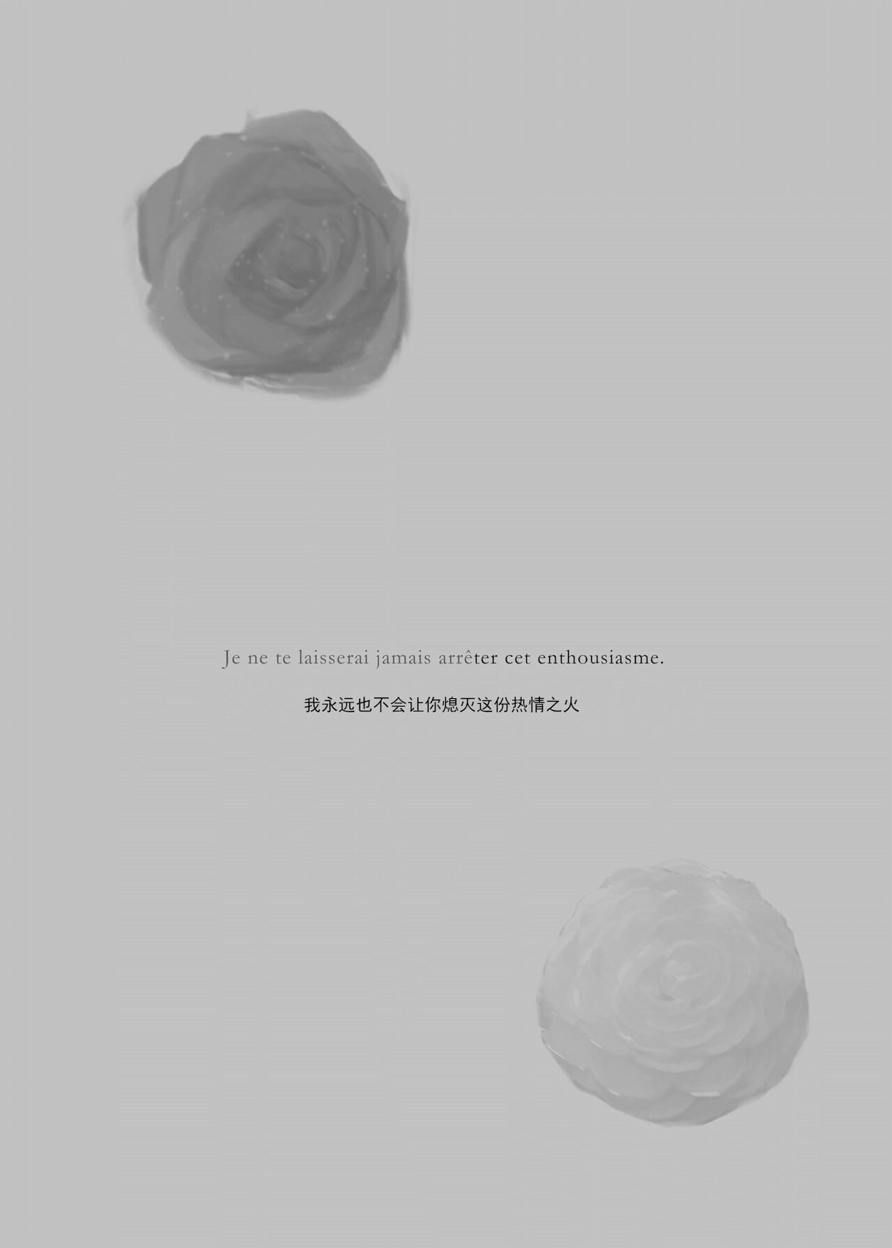 2048565-White Camellia & Red Rose page 2 full