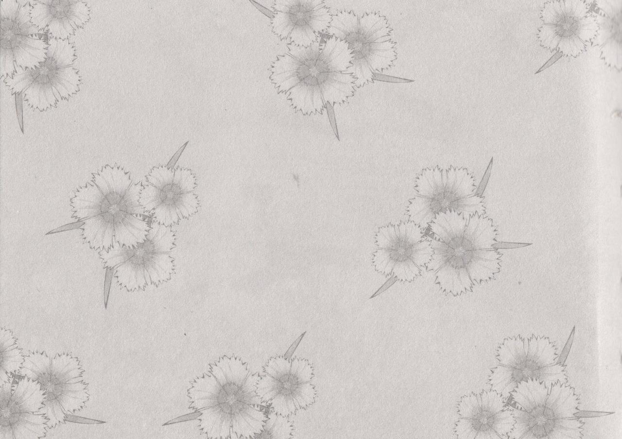 史上名妓 风尘侠女-小凤仙（辜国兴 2013年11月） page 4 full