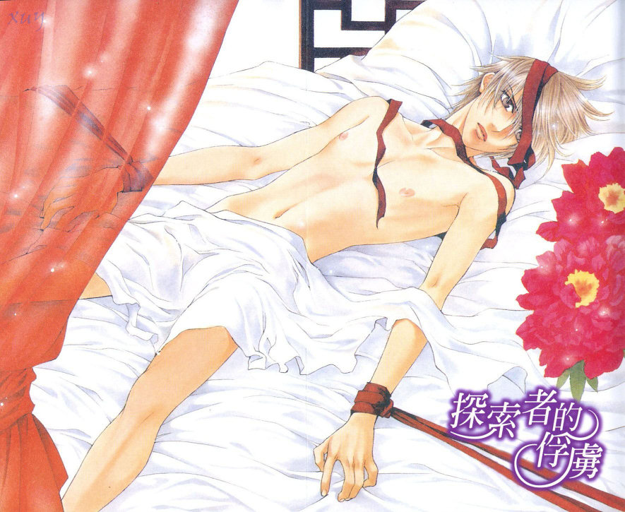探索者的俘虏 page 3 full