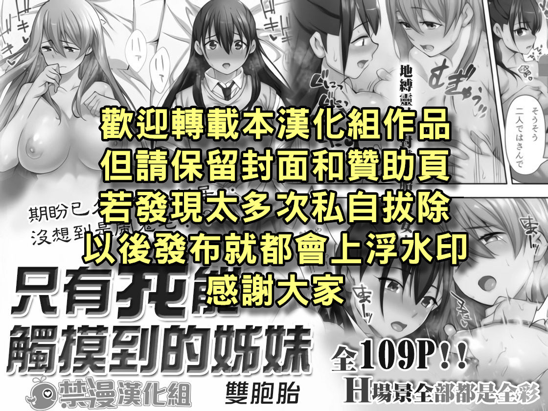 Ore dake ga Sawareru Futago | 只有我能觸摸到的姊妹 page 3 full