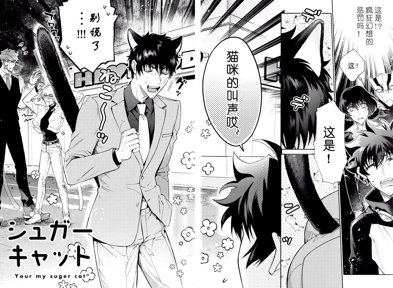 Sugar cat|小甜猫 page 3 full