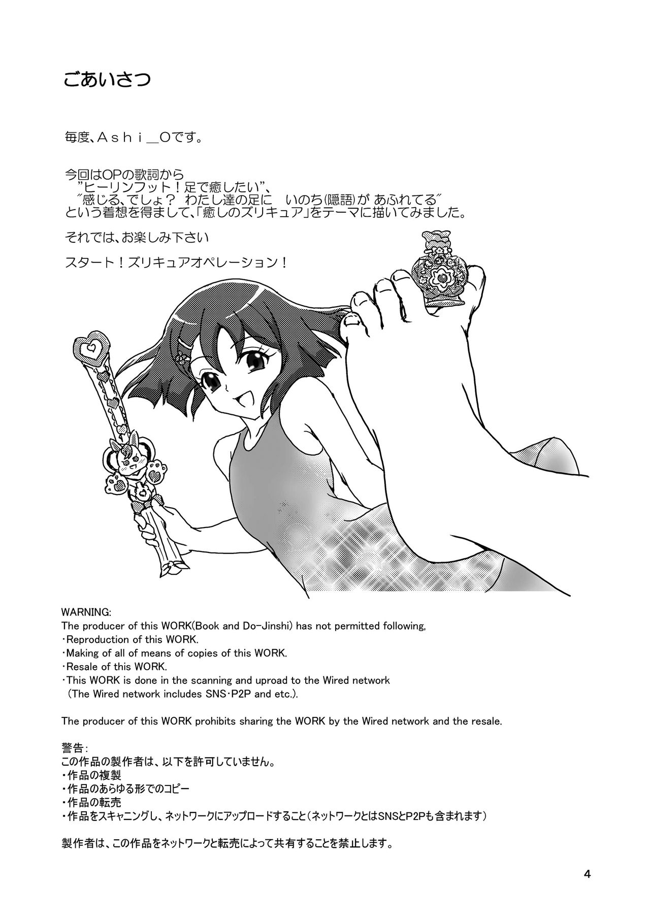 Healin' Foot ZuriCure page 3 full