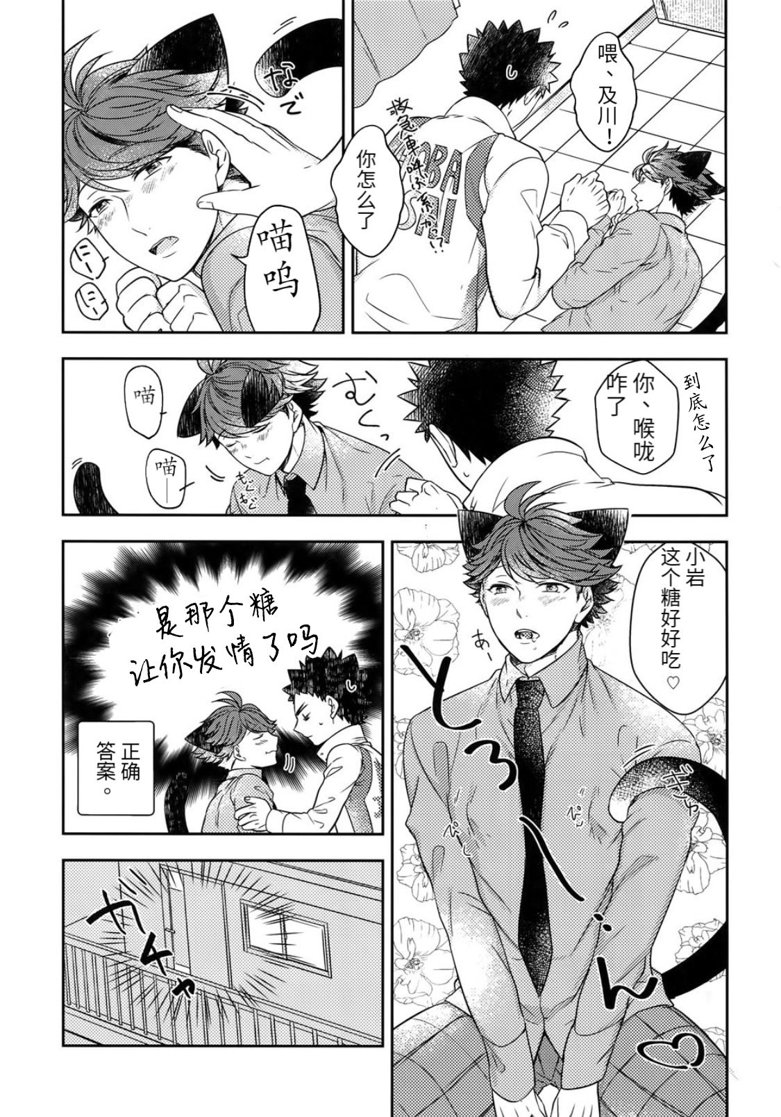 Iwa-chan no Neko ni Naritai 4 | 我想成为小岩的猫4 page 5 full