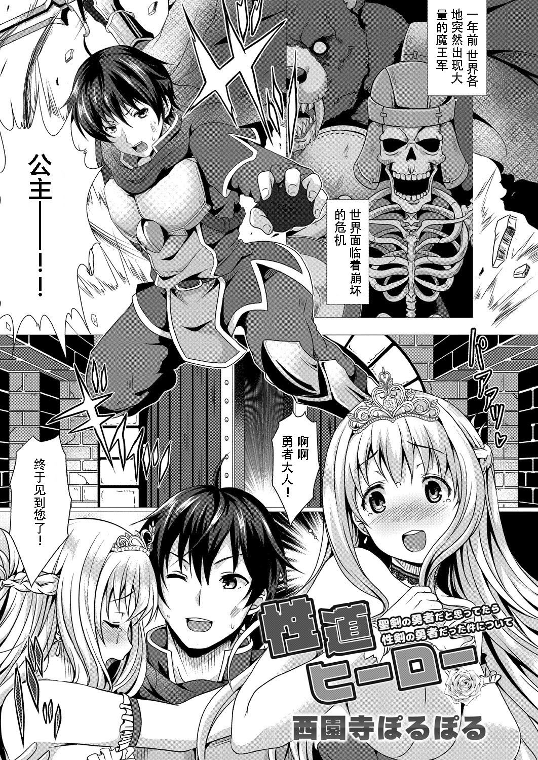 Seidou Hero 1 Seiken no Yuusha da to Omottetara Seiken no Yuusha datta Ken ni Tsuite page 4 full