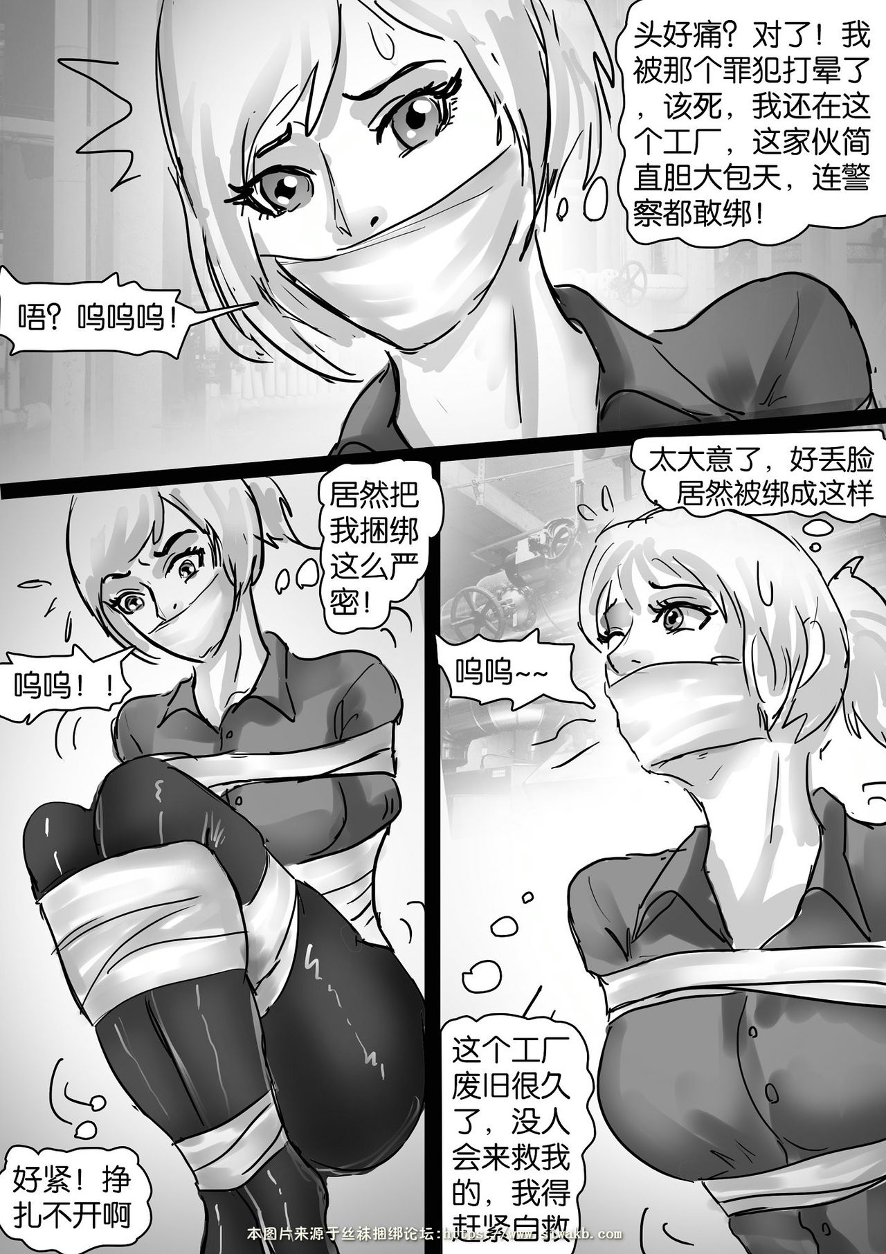 Kidnapping and mummification of policewoman page 3 full