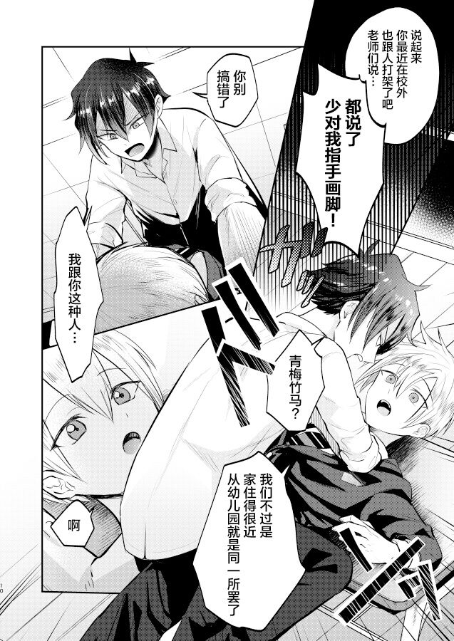 Furyou Shounen to Gakkyuu Iinchou no Himitsu page 10 full