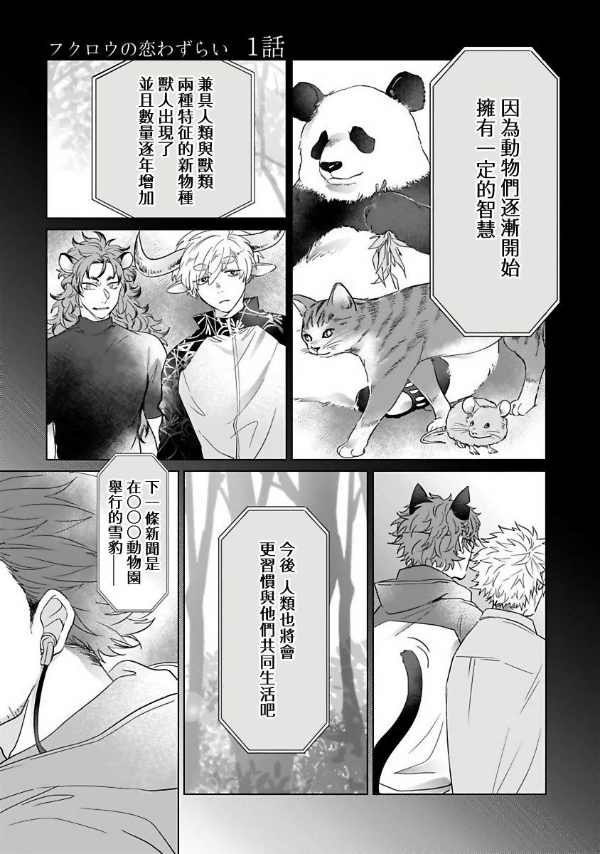 Fukurou no Koiwazurai | 猫头鹰的相思病 page 5 full