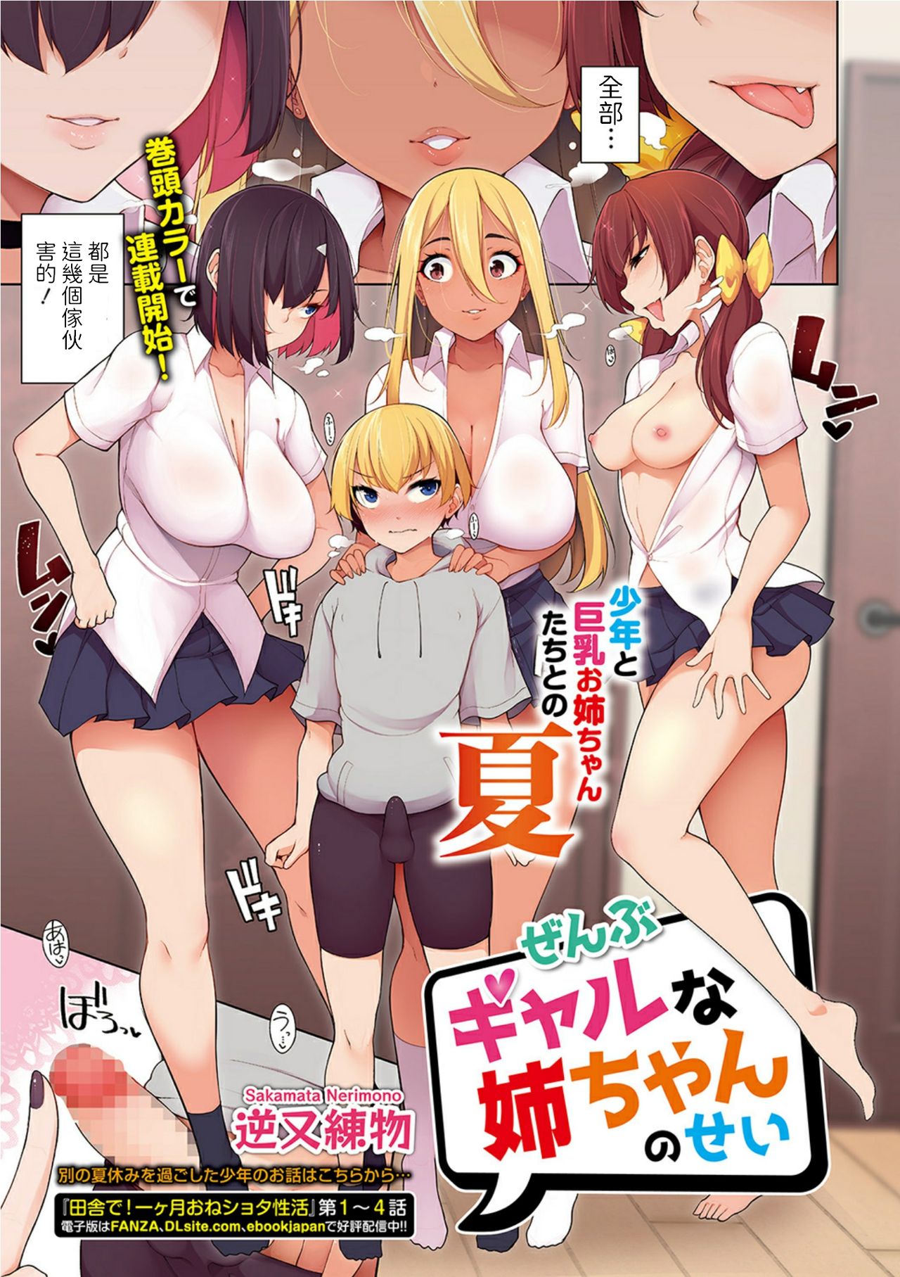 Zenbu Gal na Nee-chan no Sei page 1 full