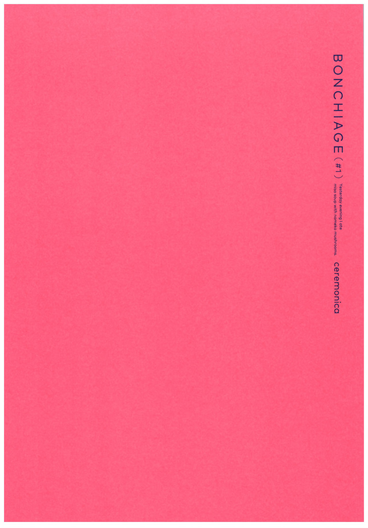 BONCHIAGE page 2 full