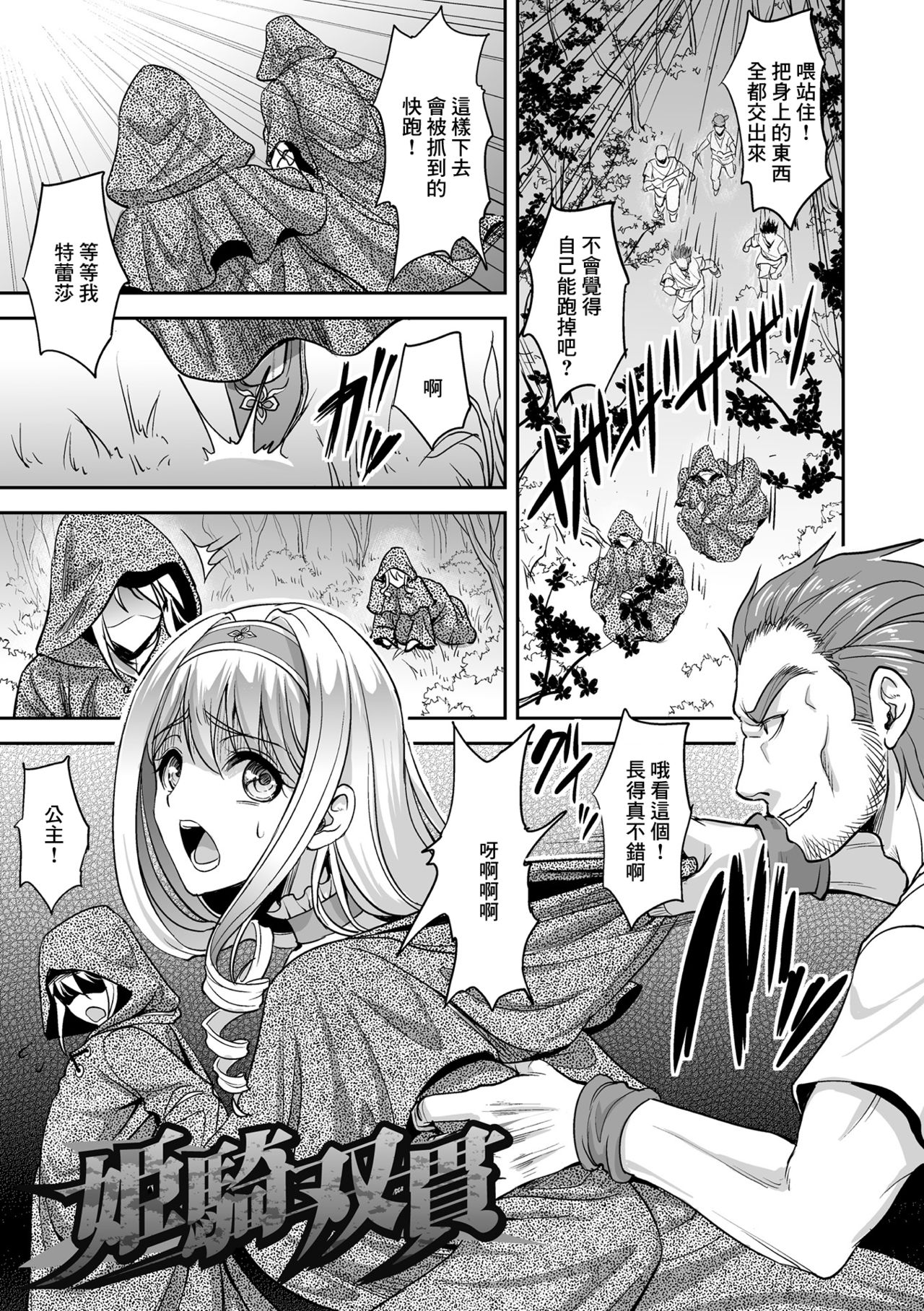 姬騎雙貫 page 1 full