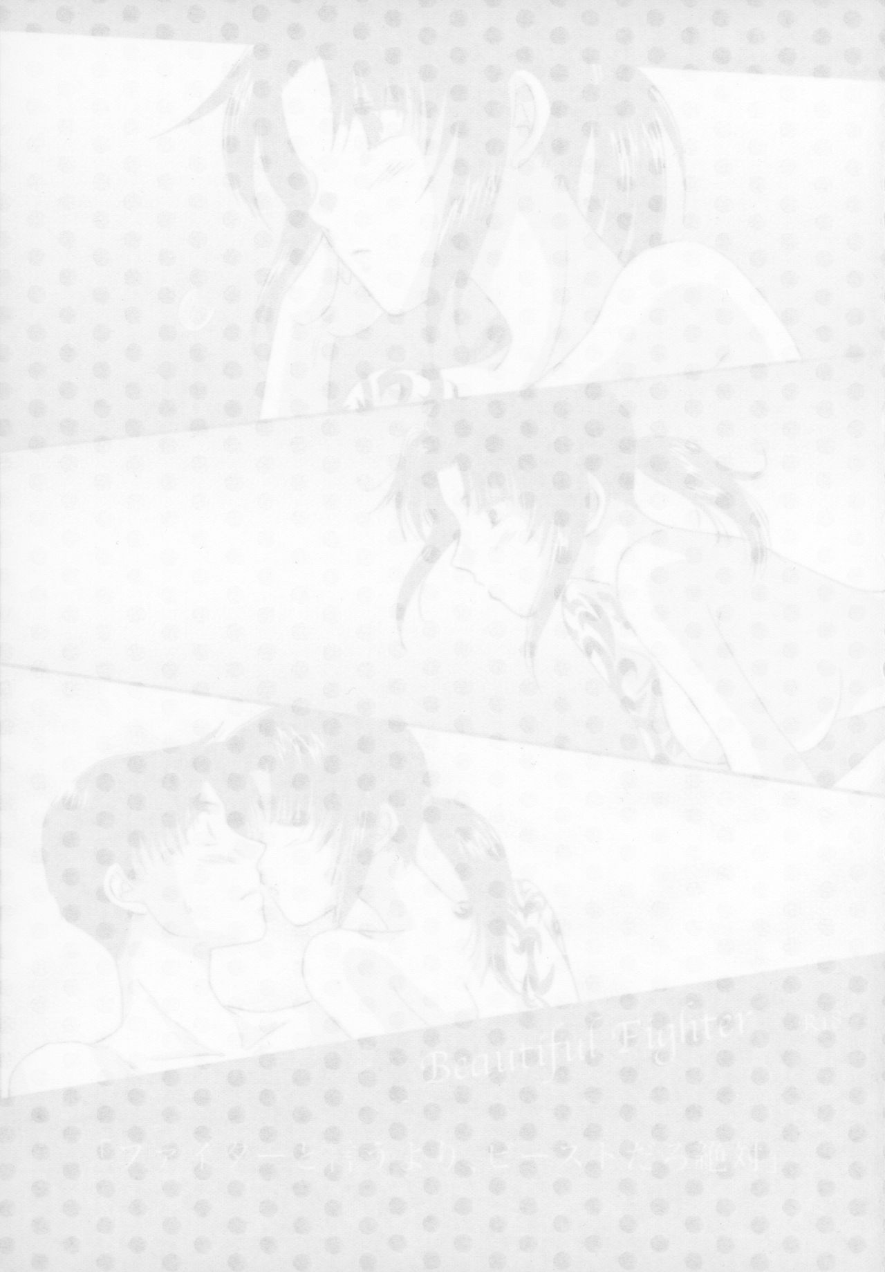 Beautiful Fighter page 3 full