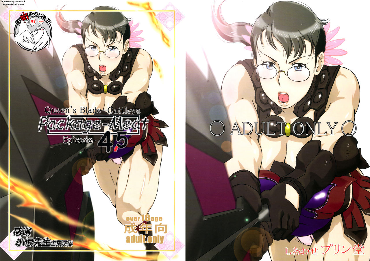 Package Meat 4.5 page 1 full