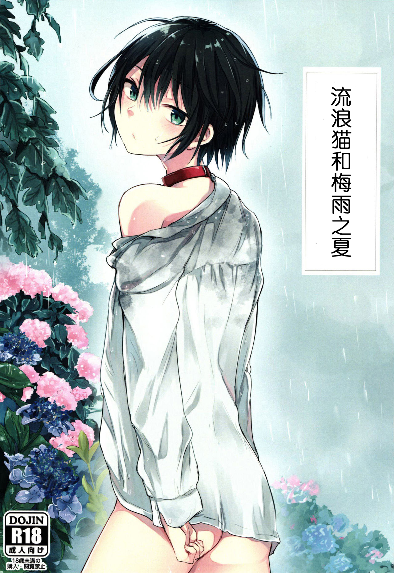 Nora Neko to Rainy Days | 流浪猫和梅雨之夏 page 1 full