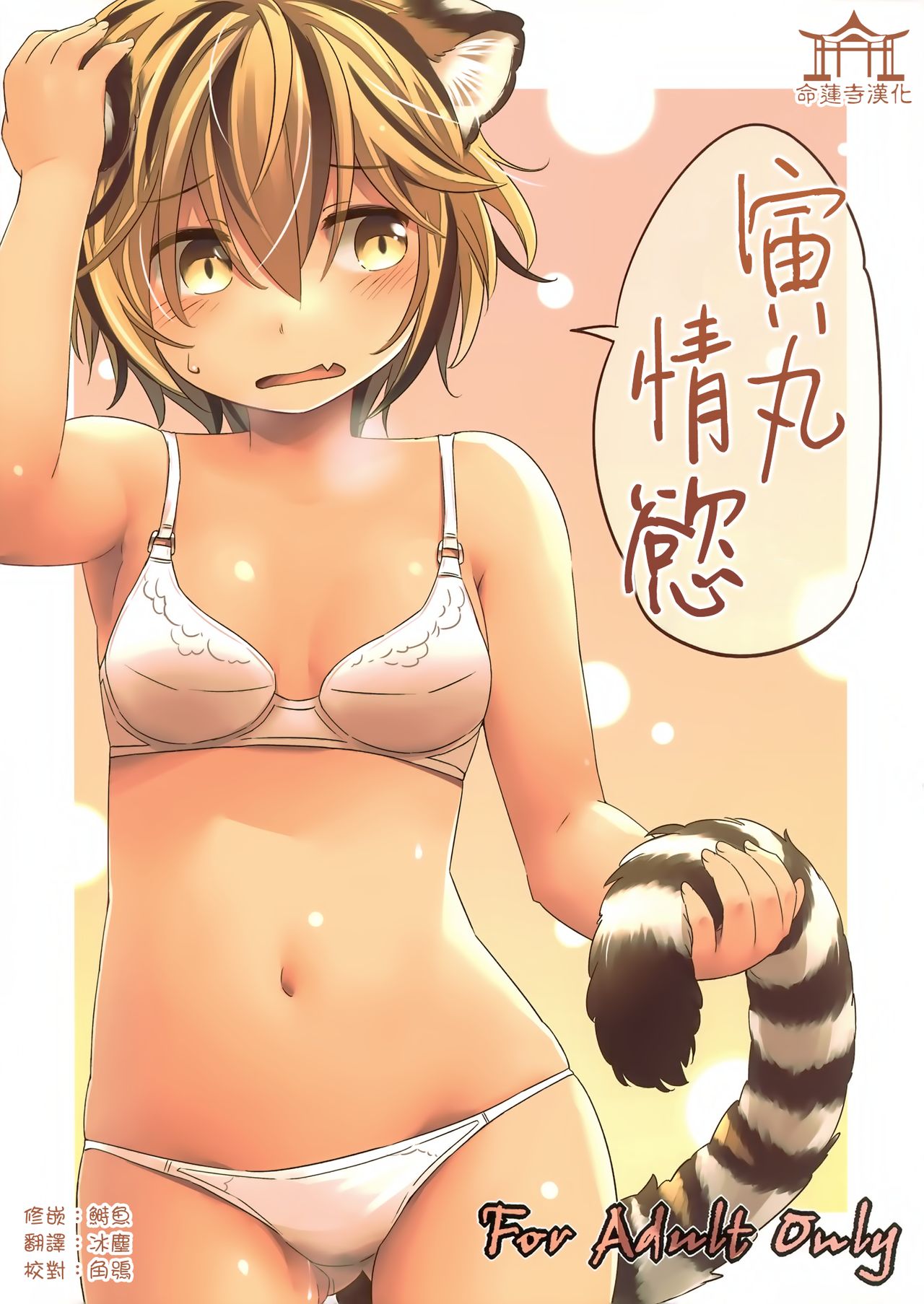 Toramaru Passion | 寅丸情慾 page 1 full