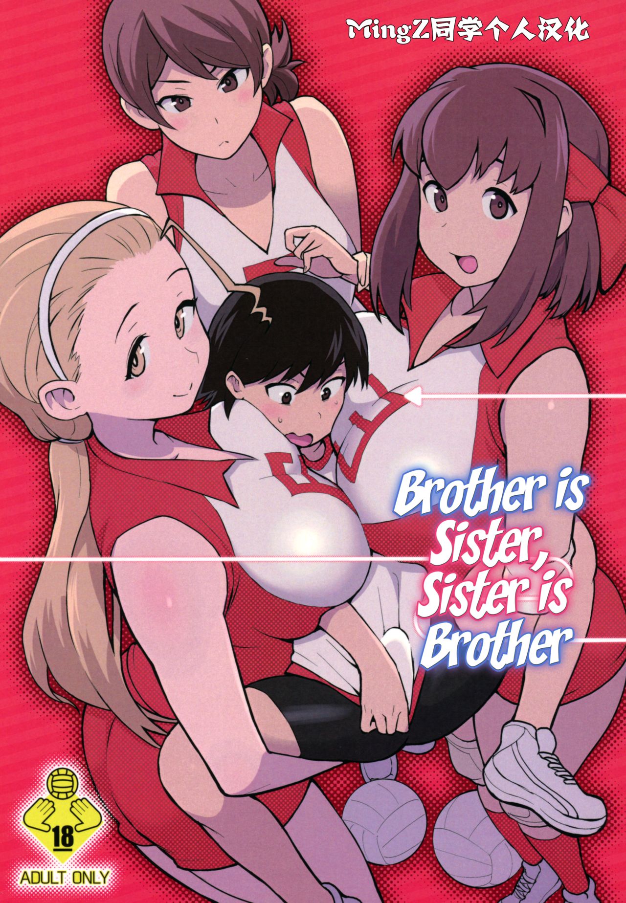 Ani ga Watashi de Watashi ga Ani de page 1 full