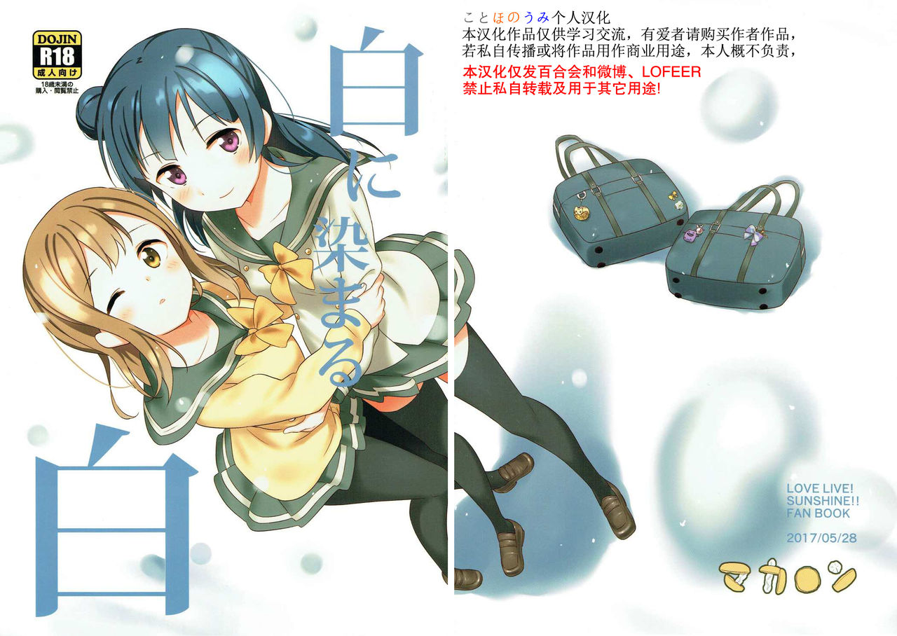 Shiro ni Somaru Shiro （Chinese）（ことほのうみ个人汉化） page 2 full