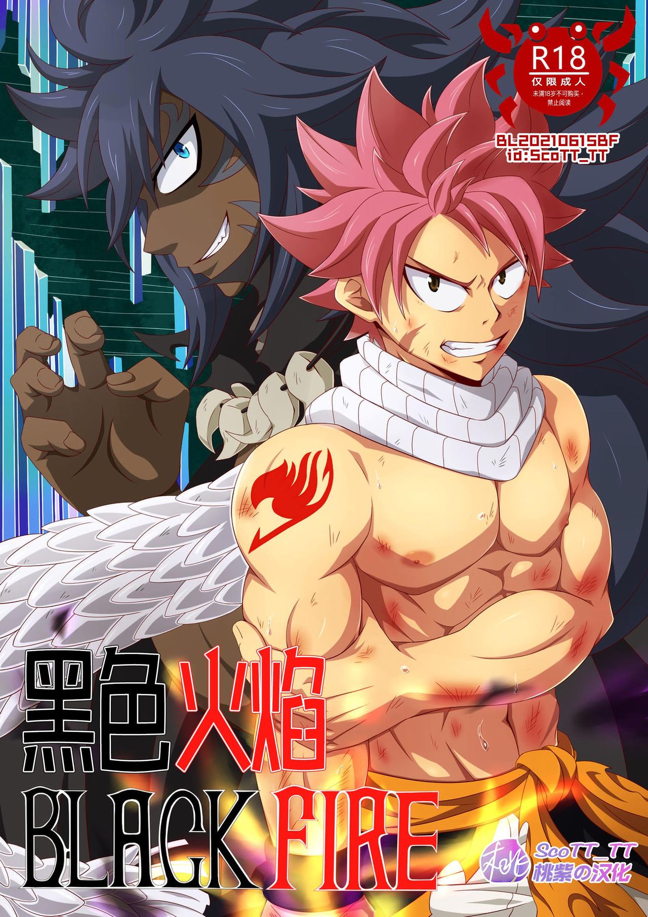 Black Fire - Fairy Tail dj | 黑色火焰-妖精的尾巴同人志 page 1 full