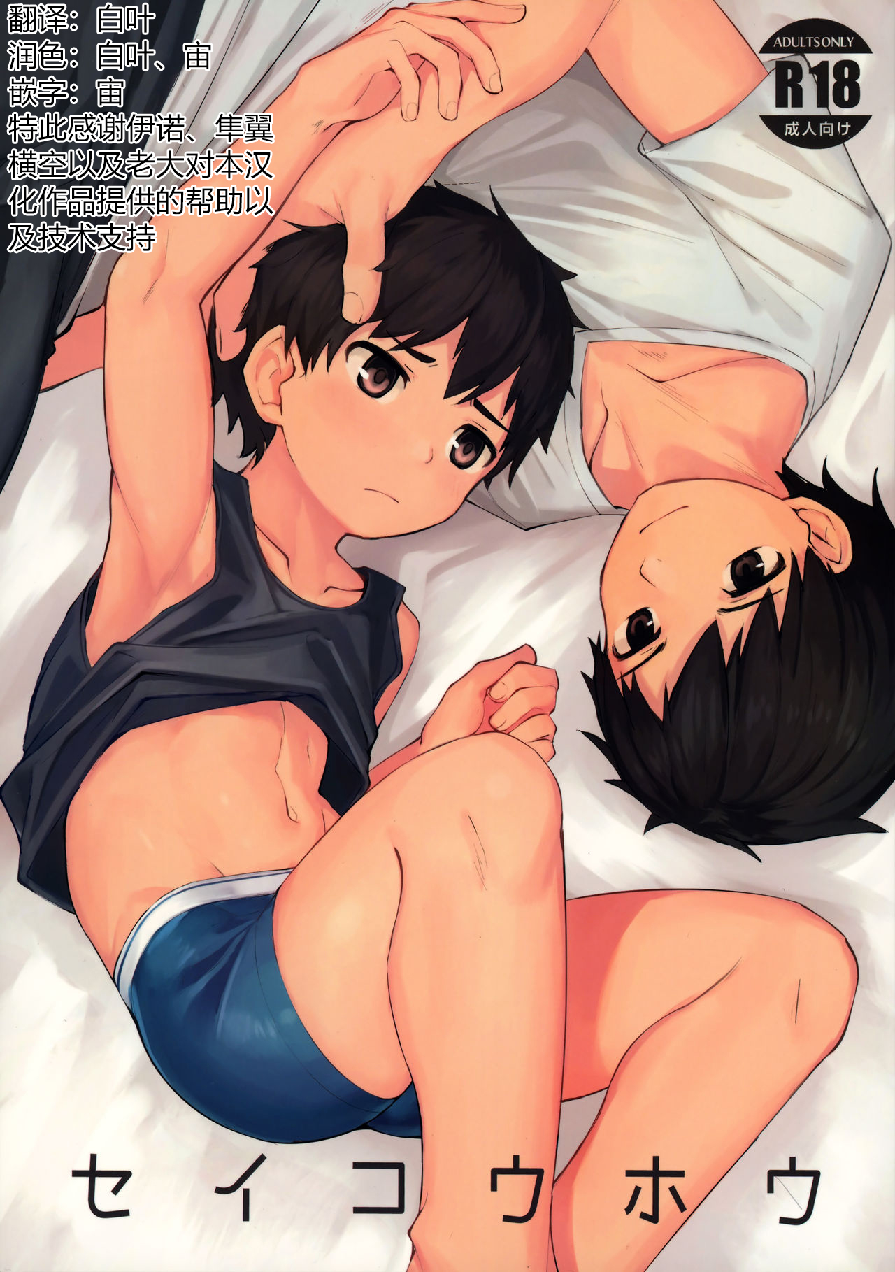 Seikouhou page 1 full