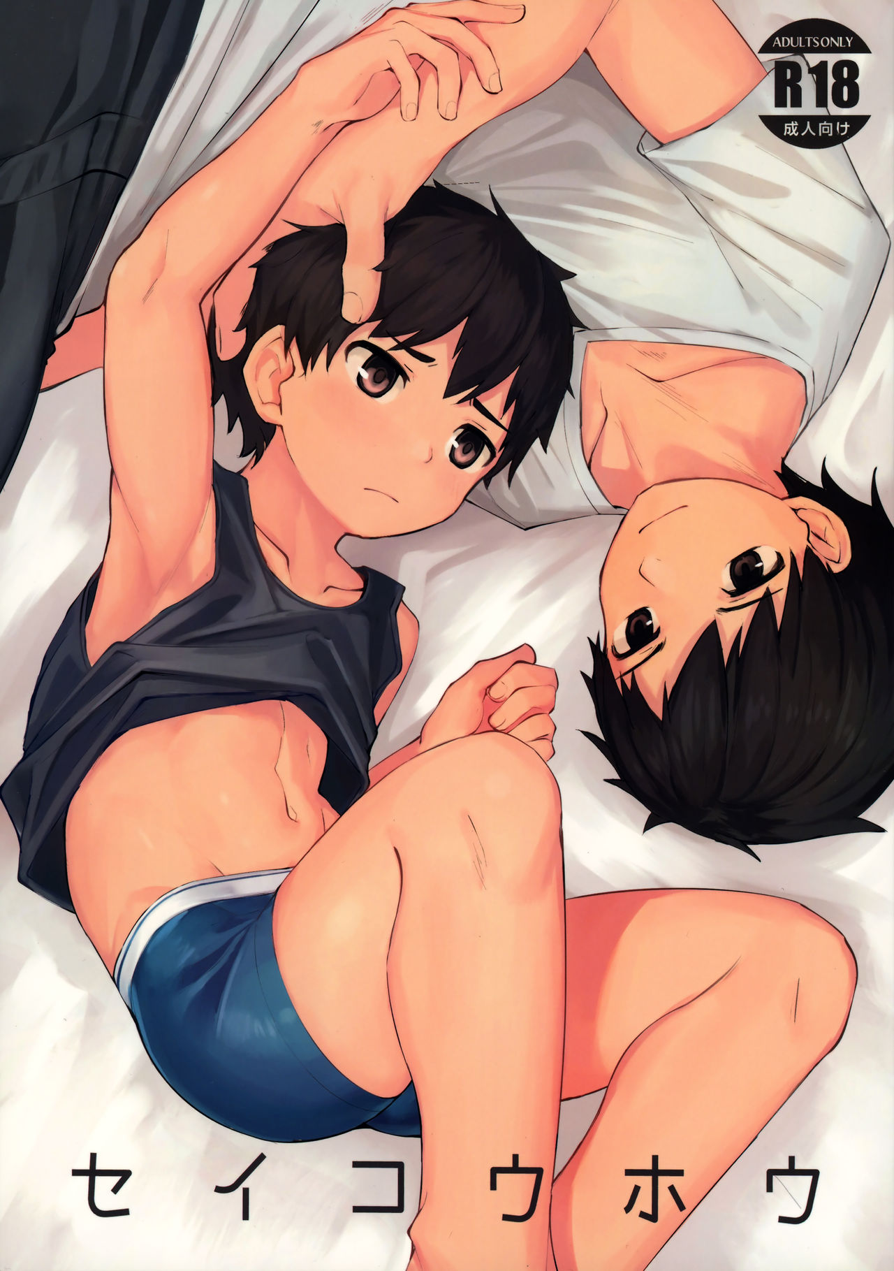 Seikouhou page 2 full