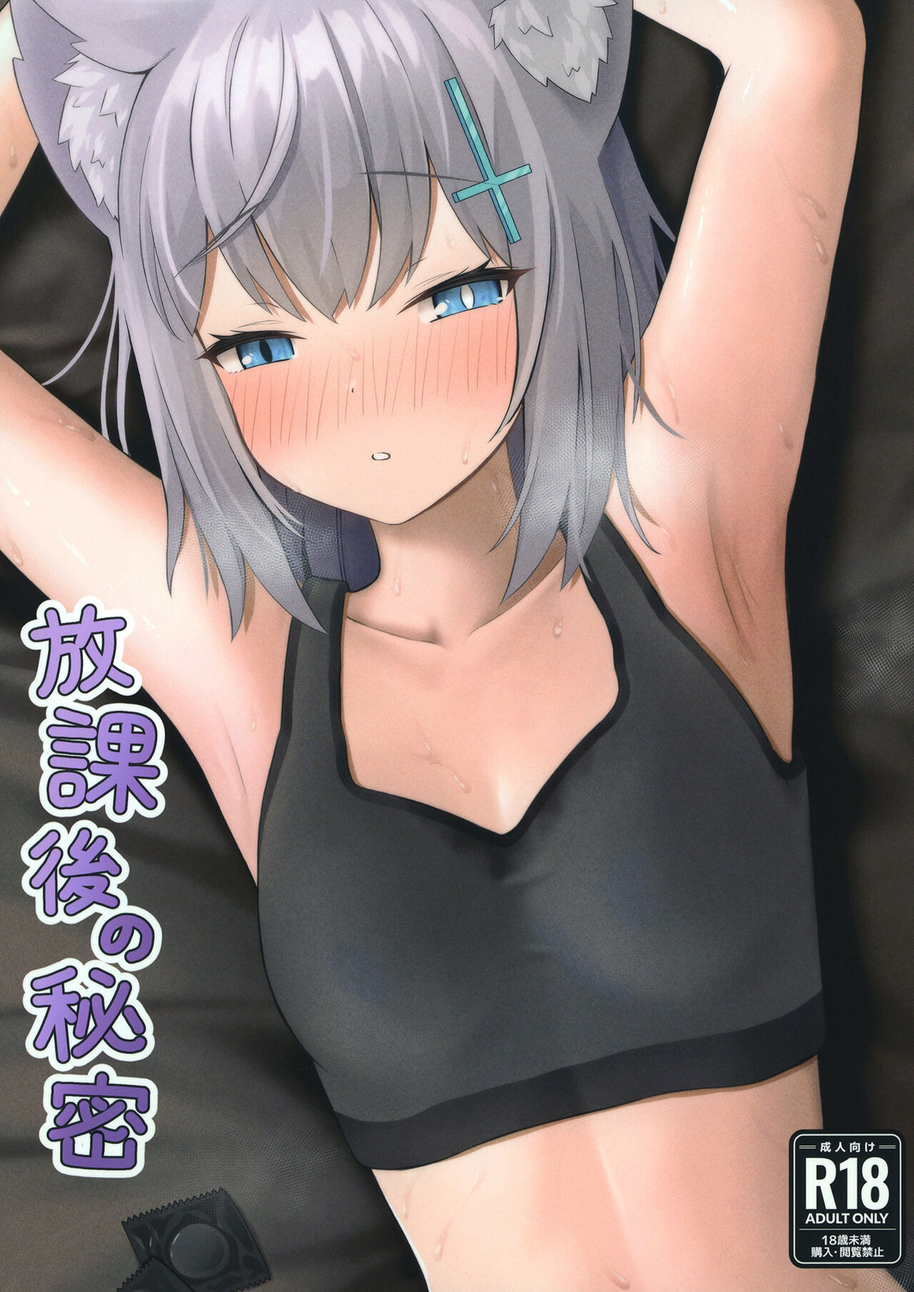 houka go no himitu page 2 full