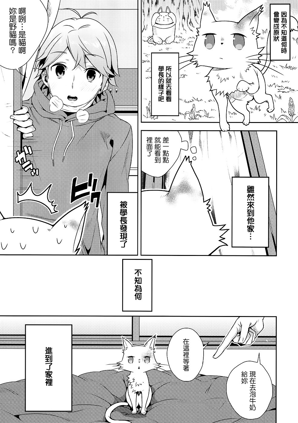Hentai Ouji ni Okasareta Neko. page 4 full