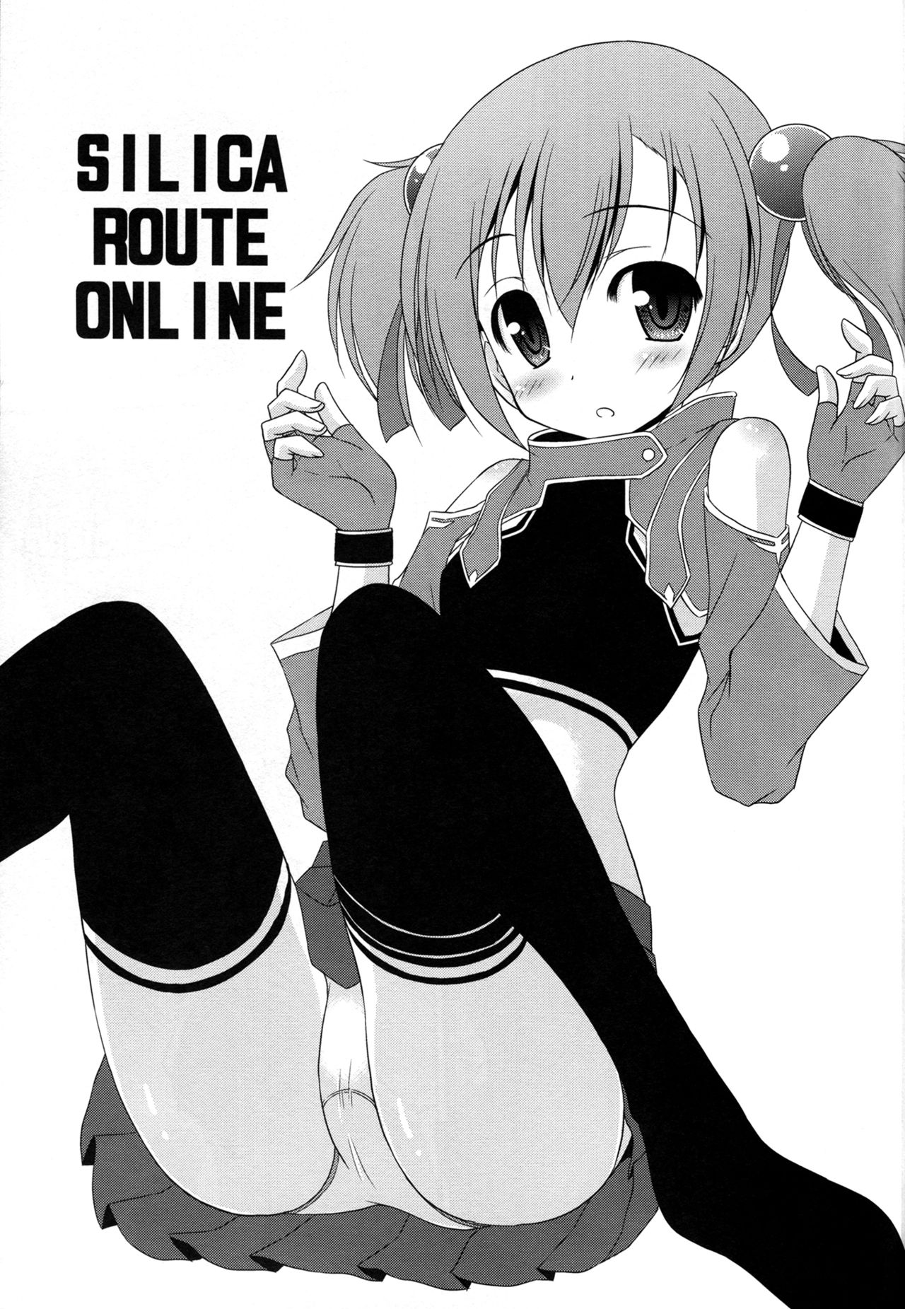 Silica Route Online page 2 full