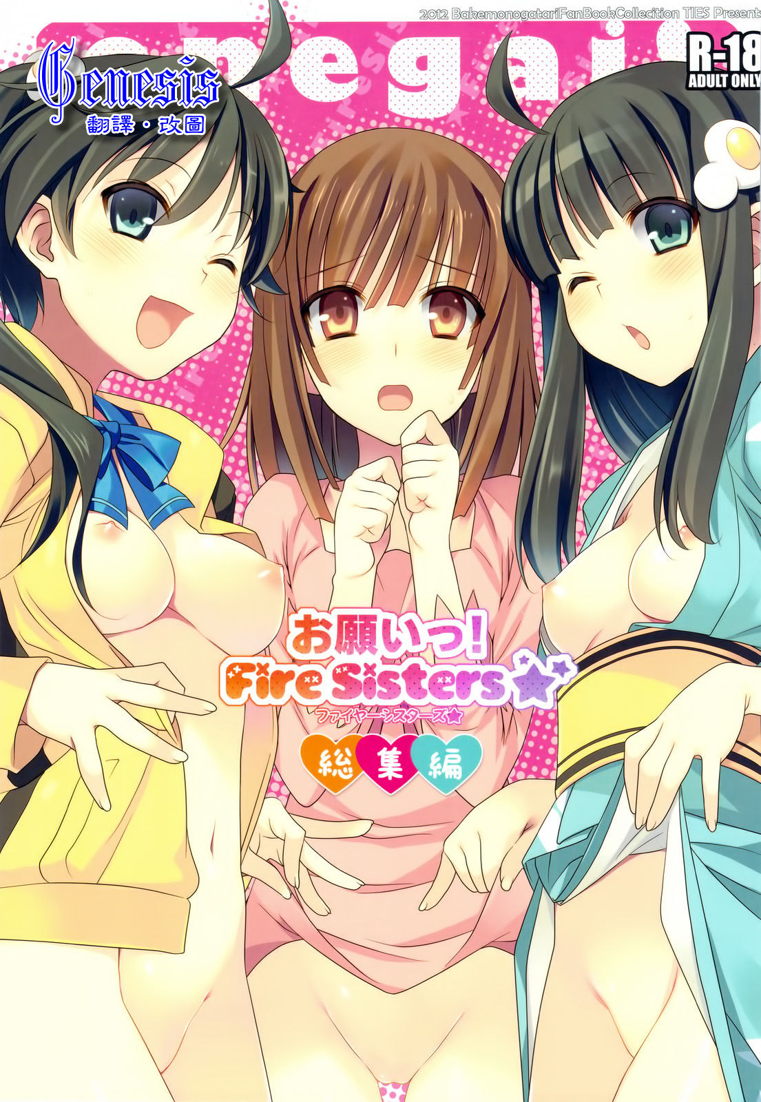 Onegai! FireSisters -Soushuuhen- page 1 full