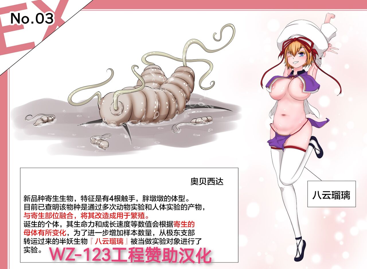 蟲研究レポートEX_No.03 Chinese Translation page 1 full