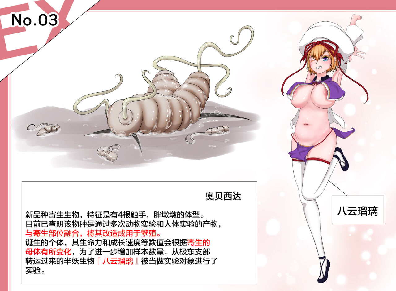 蟲研究レポートEX_No.03 Chinese Translation page 2 full