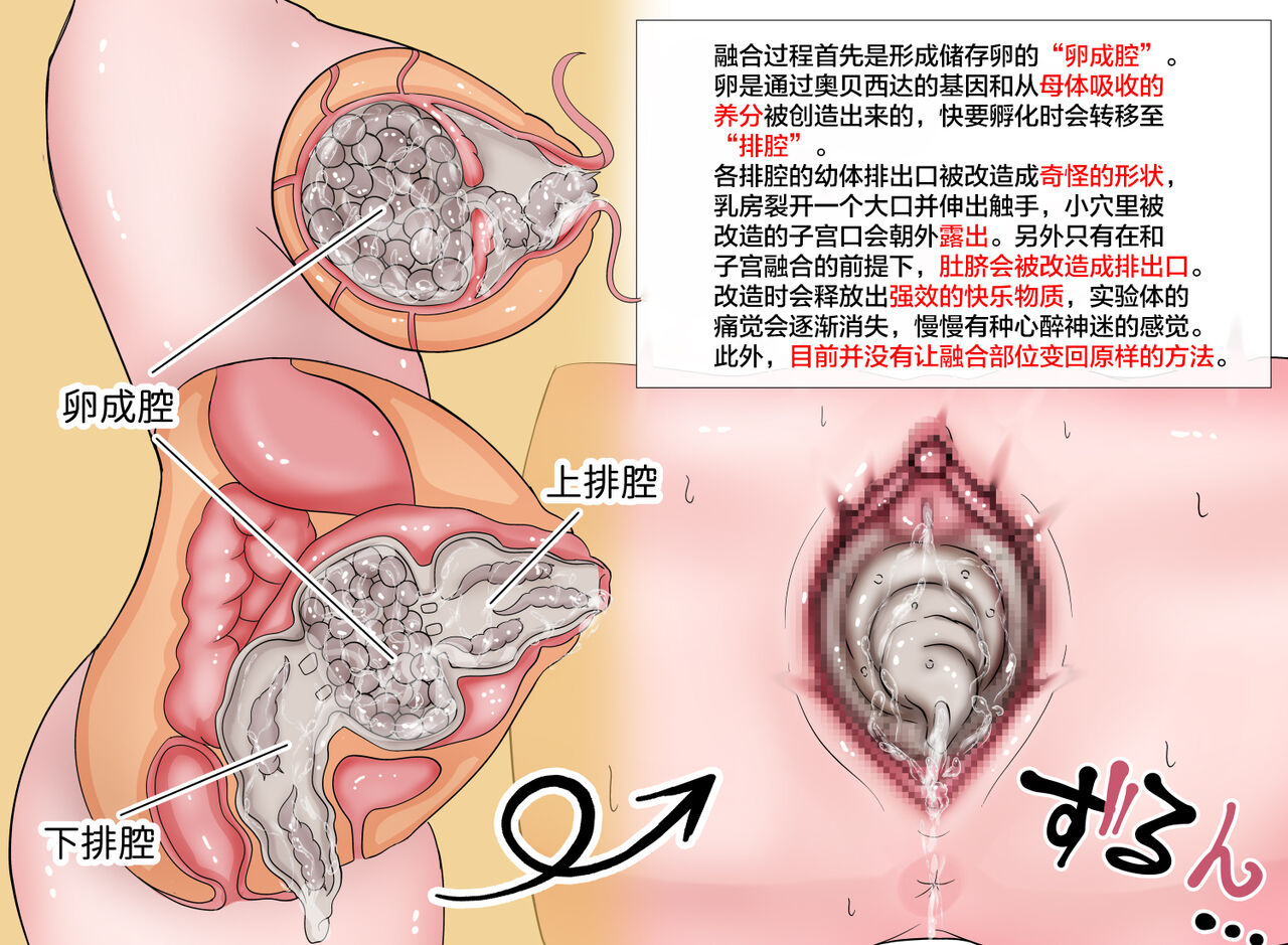 蟲研究レポートEX_No.03 Chinese Translation page 5 full