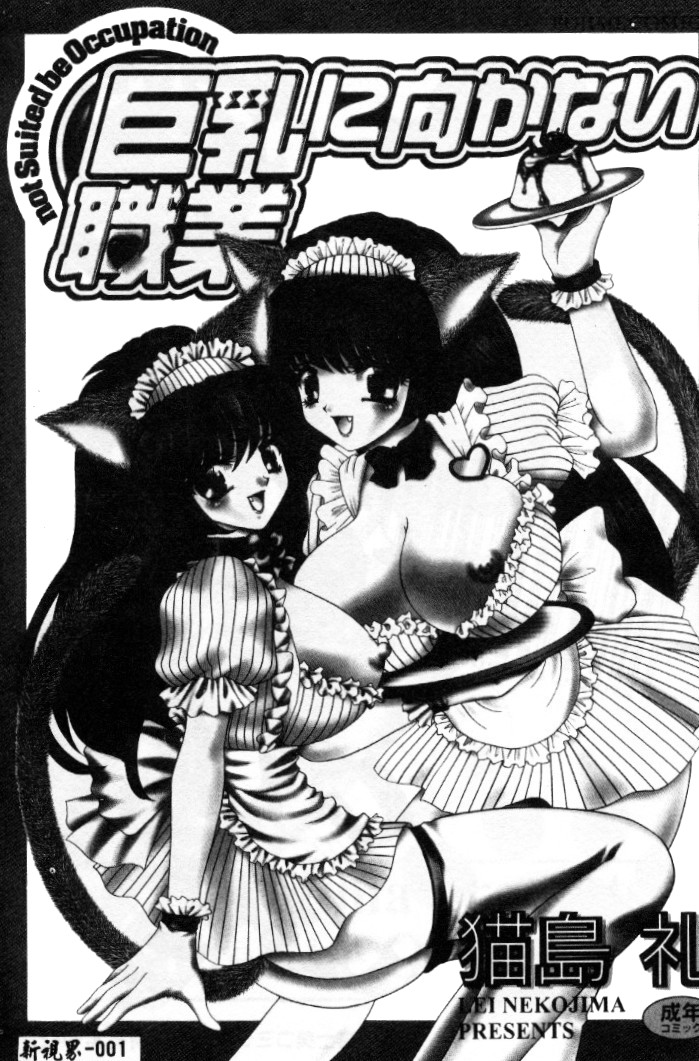 Kyonyuu ni Muka Nai Shokugyou page 3 full