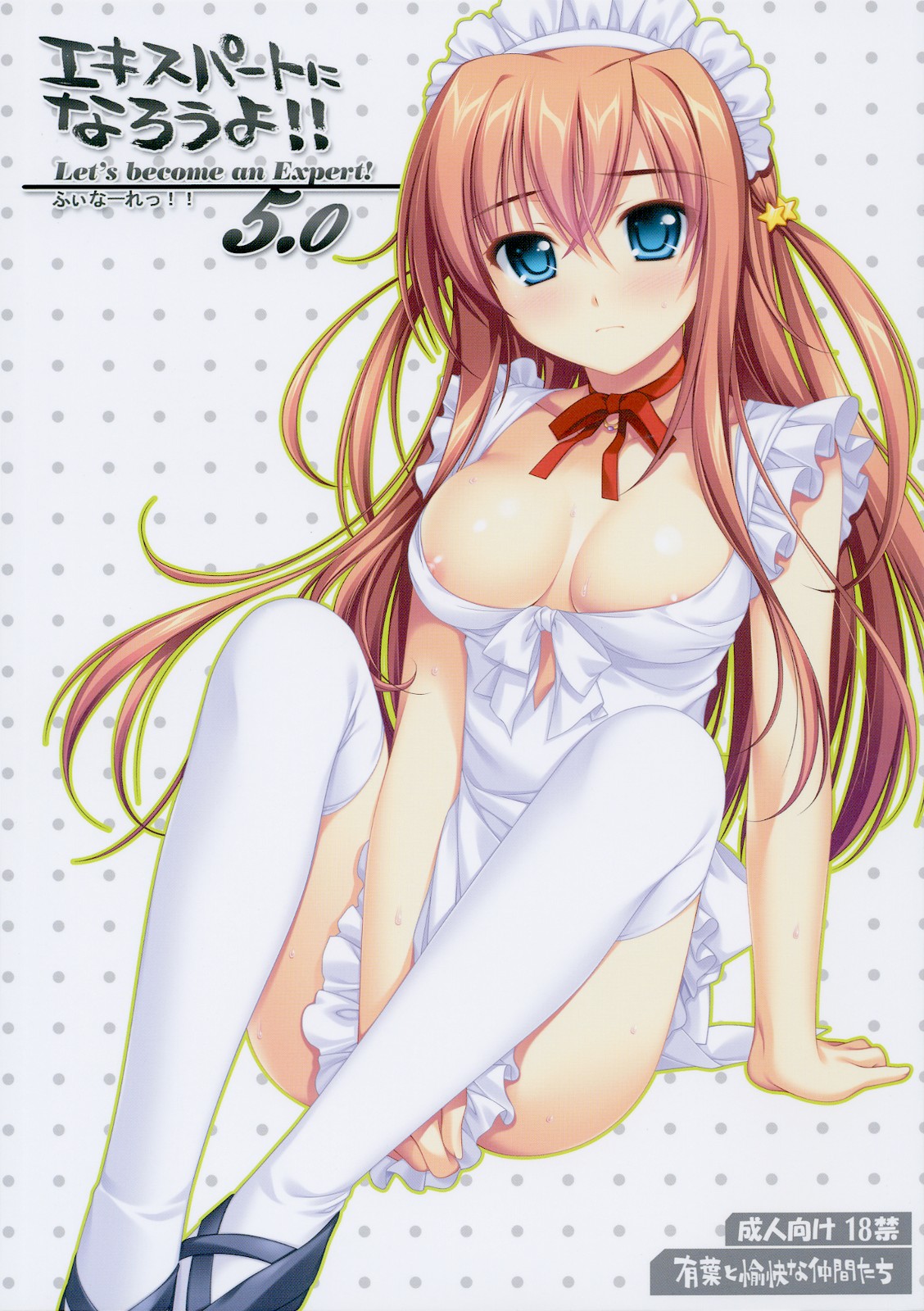 Expert ni Narouyo!! 5.0 - Let's Become an Expert! page 1 full