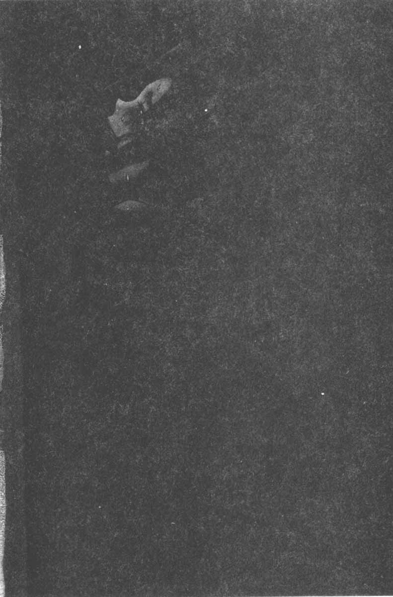 SM Comic Sabaku Vol. 5 page 7 full