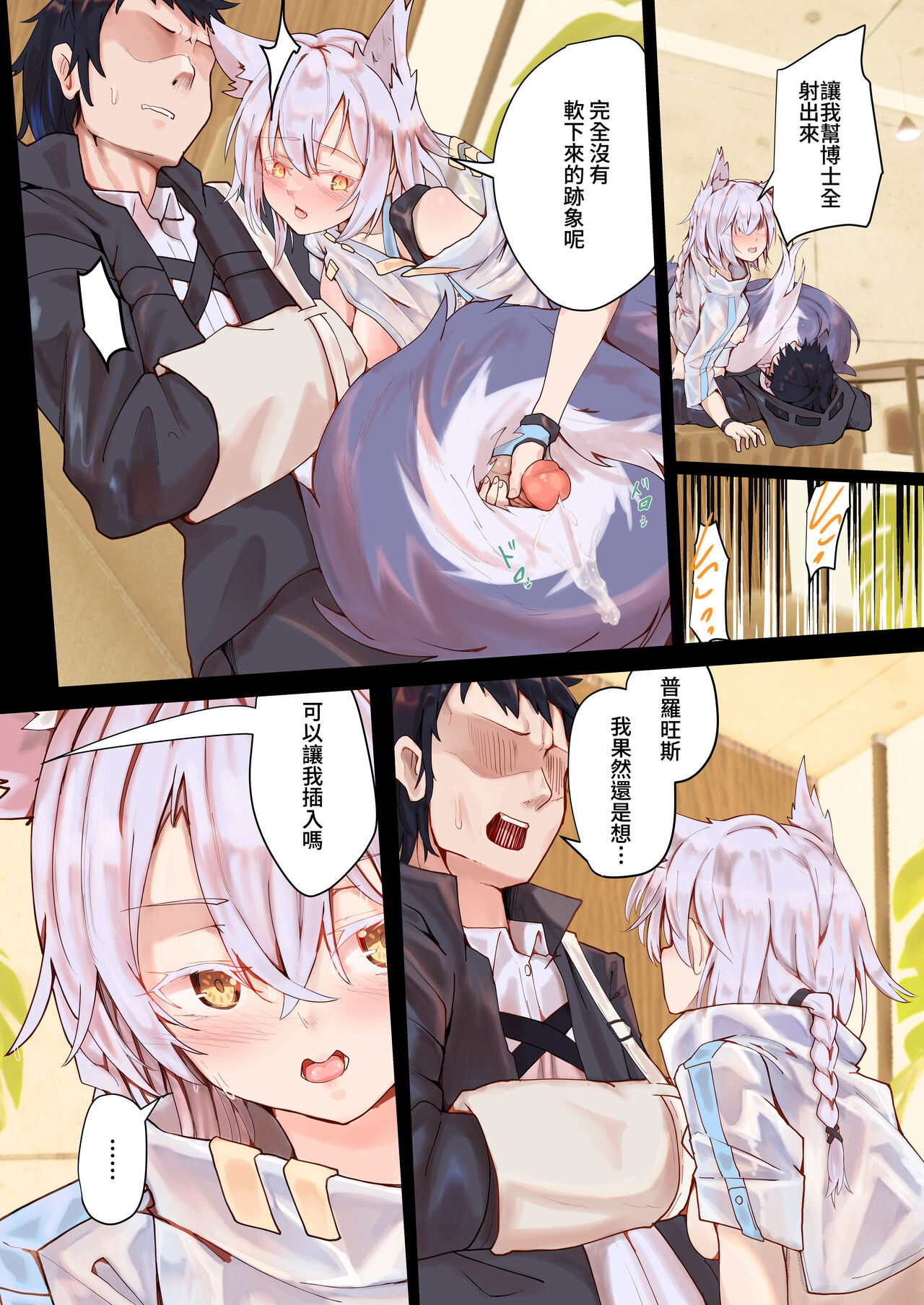 Provence page 5 full