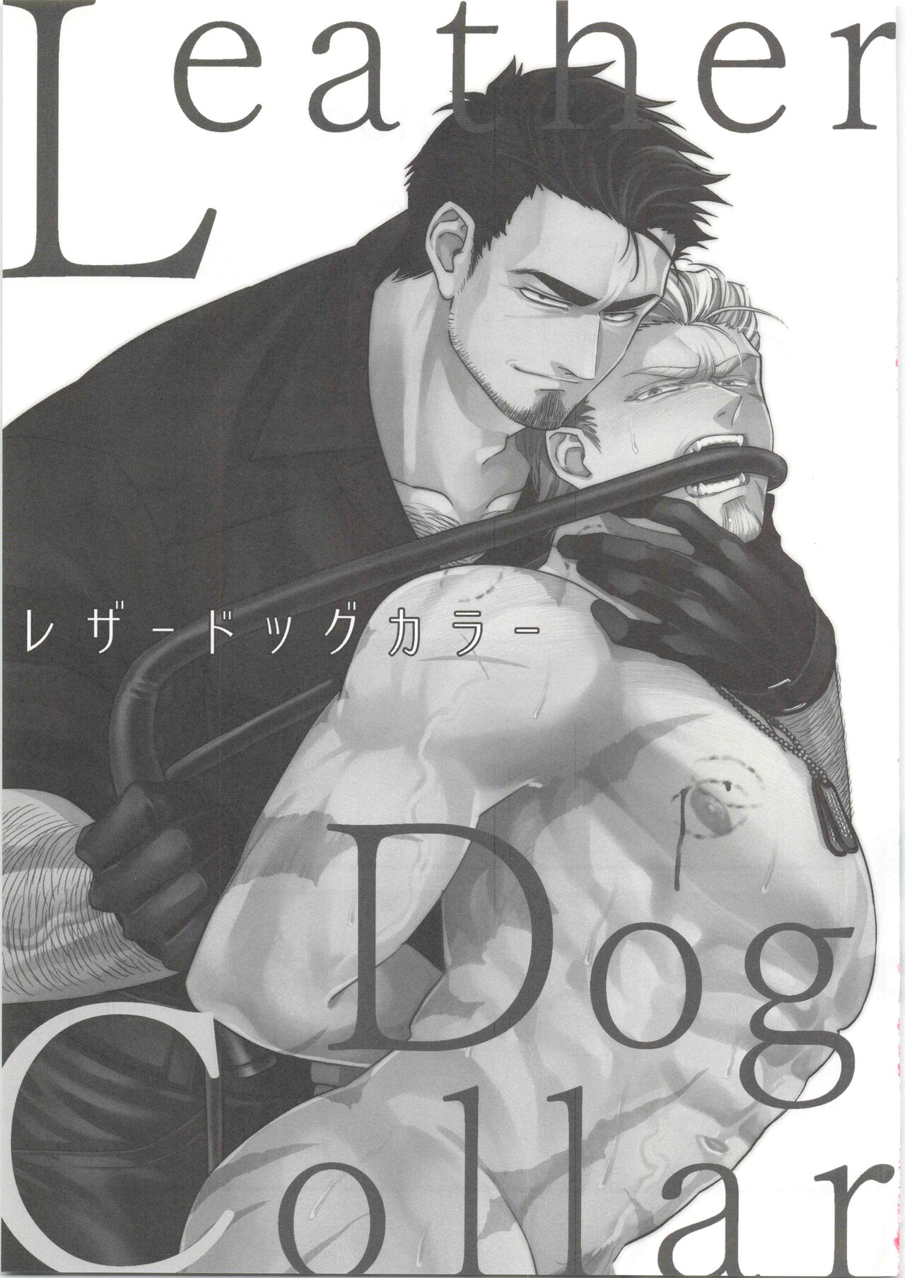 Leather Dog Collar page 2 full