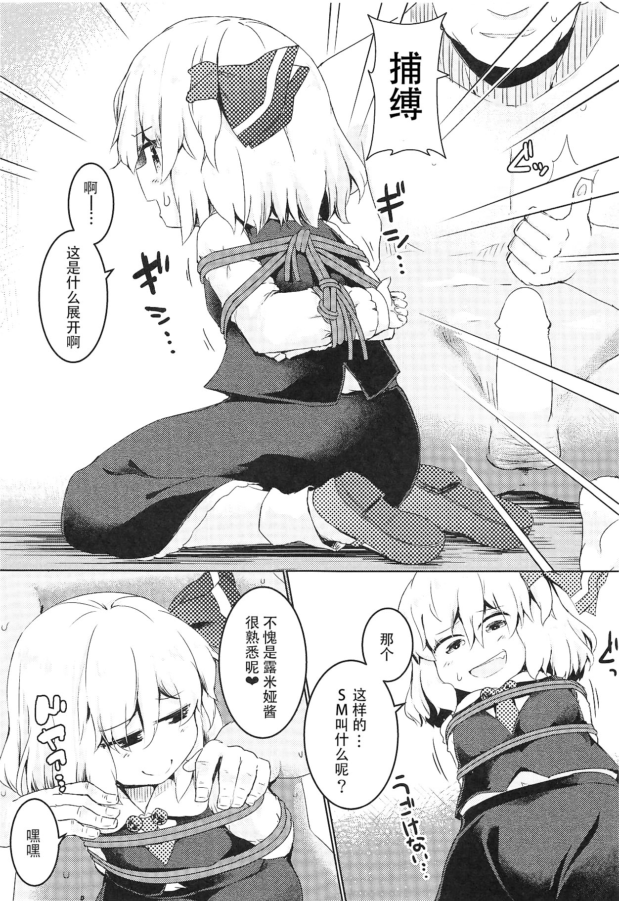 Shibarare Rumia | 被绑住的露米娅 page 4 full