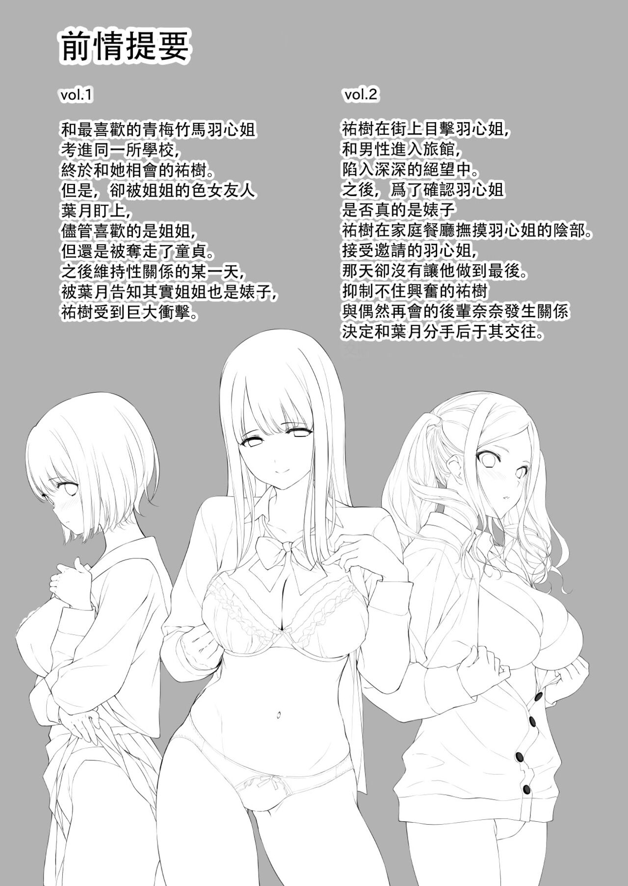 Seiso na Ane ga Suki nanoni, Bitch to Sex Shiteru Ore 3 page 2 full