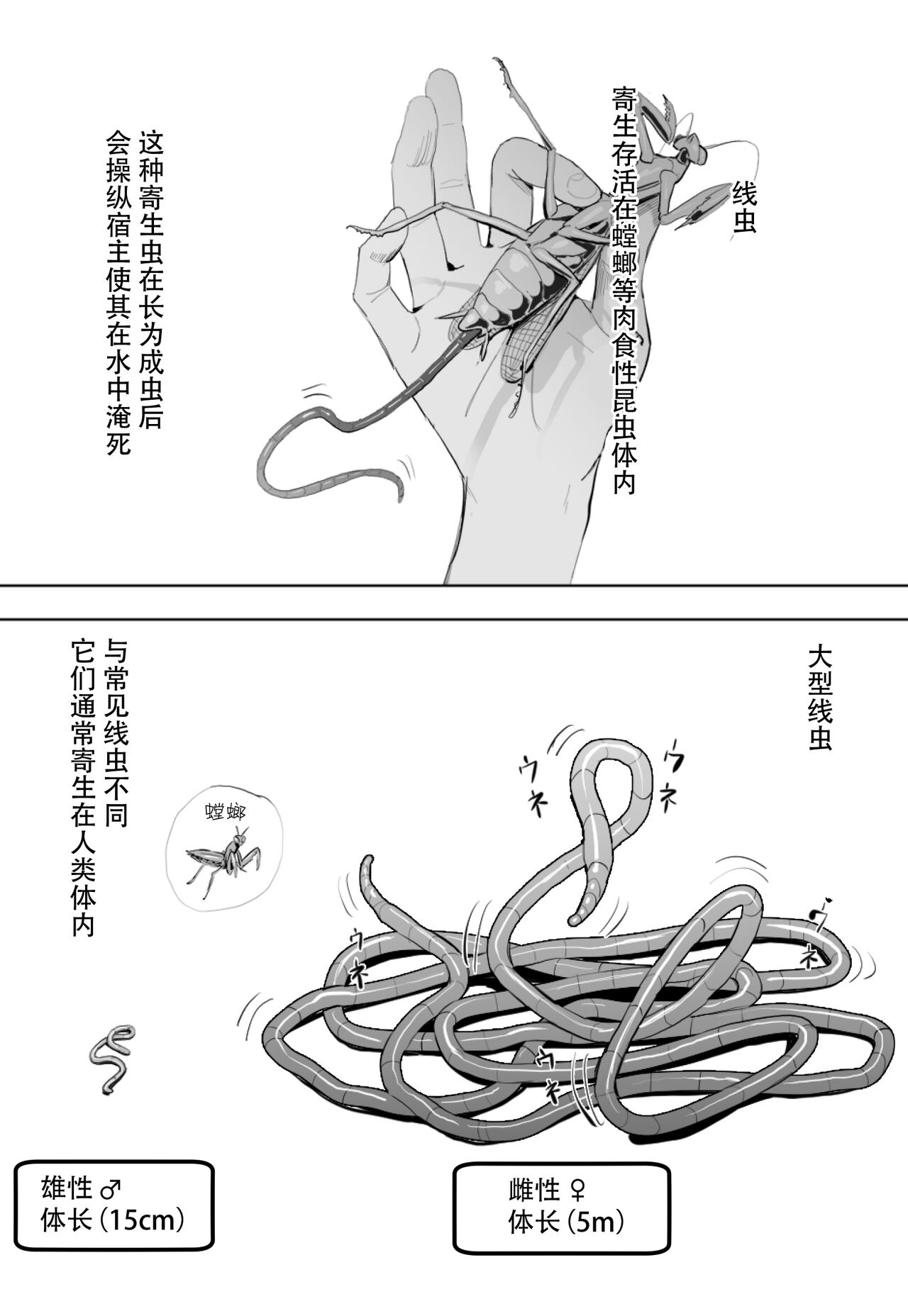 Oohariganemushi No Seitai page 1 full