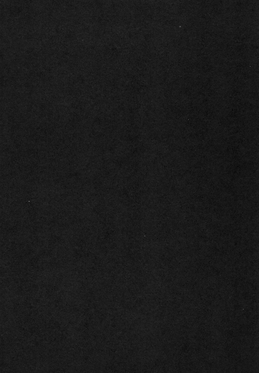 Marisa to Youmu no Yukemuri Ecchi page 3 full