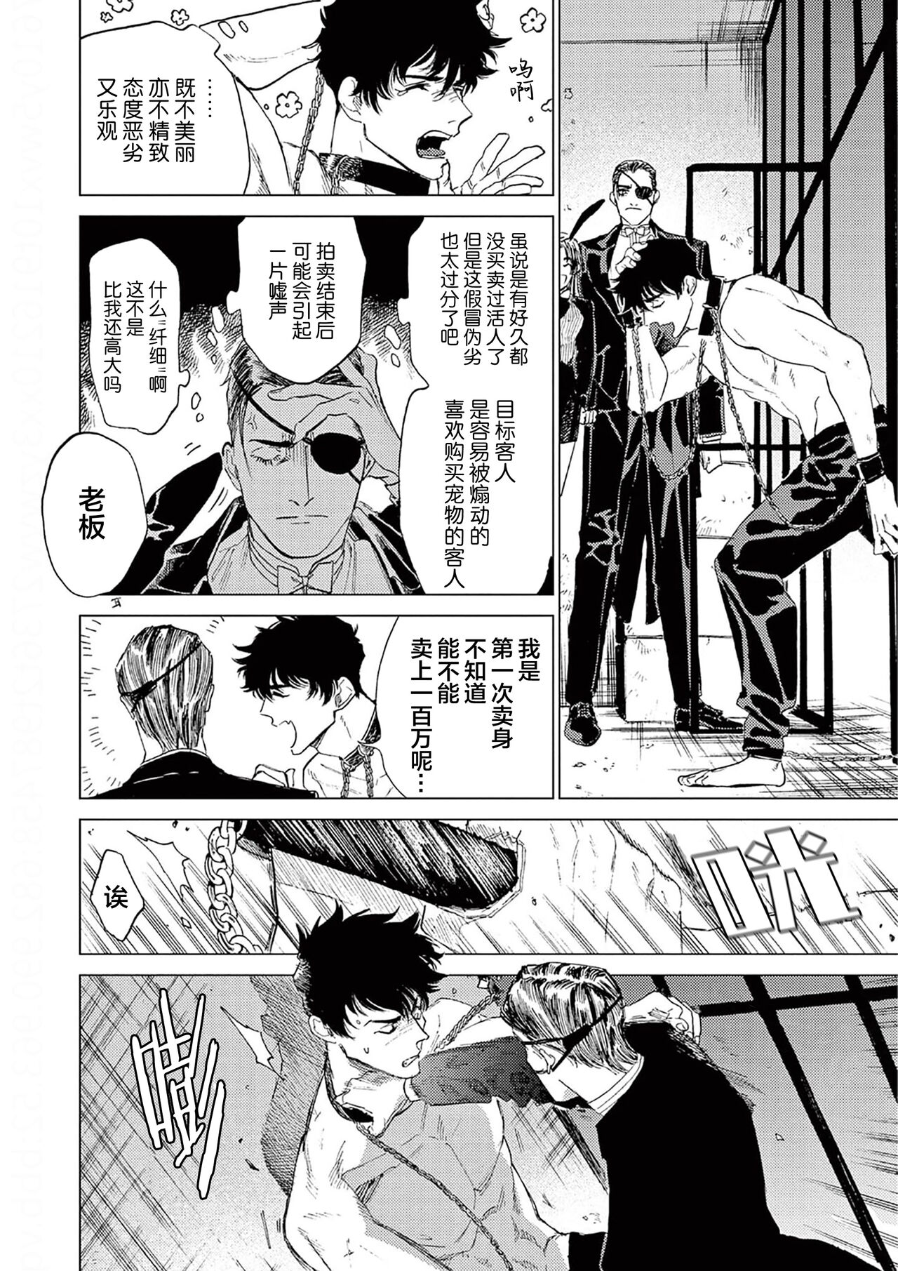 TOKYO Hikari Auction｜东京光之拍卖会 page 8 full